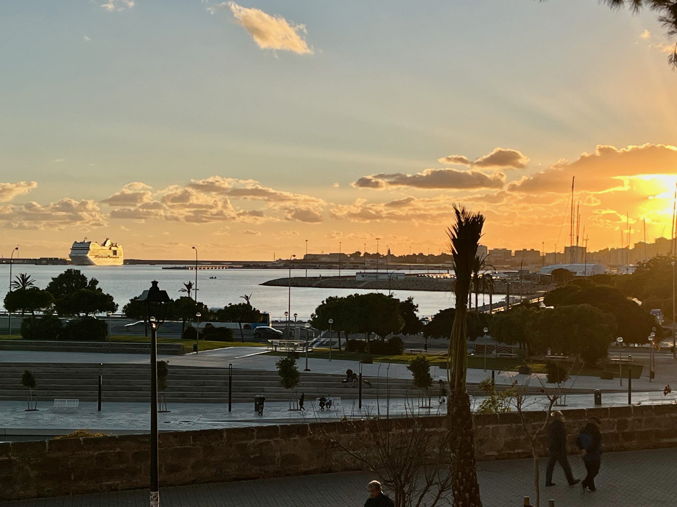 5 Minuten Mallorca | Nachrichten am 15. Januar 2024