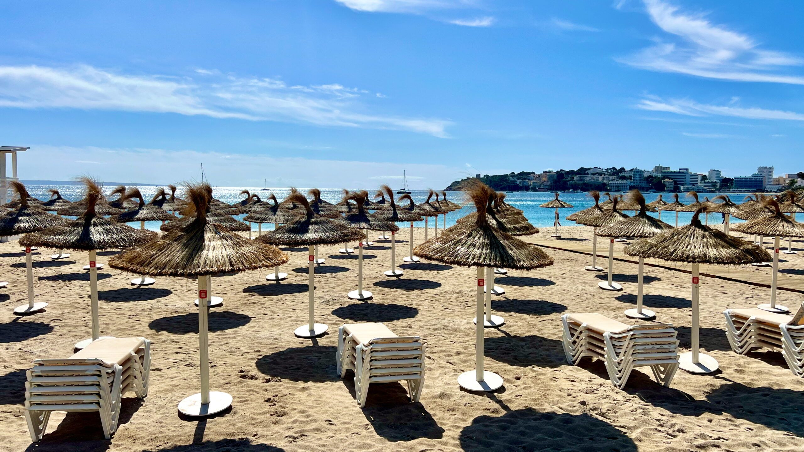 5 Minuten Mallorca | Nachrichten am 17. Februar 2026