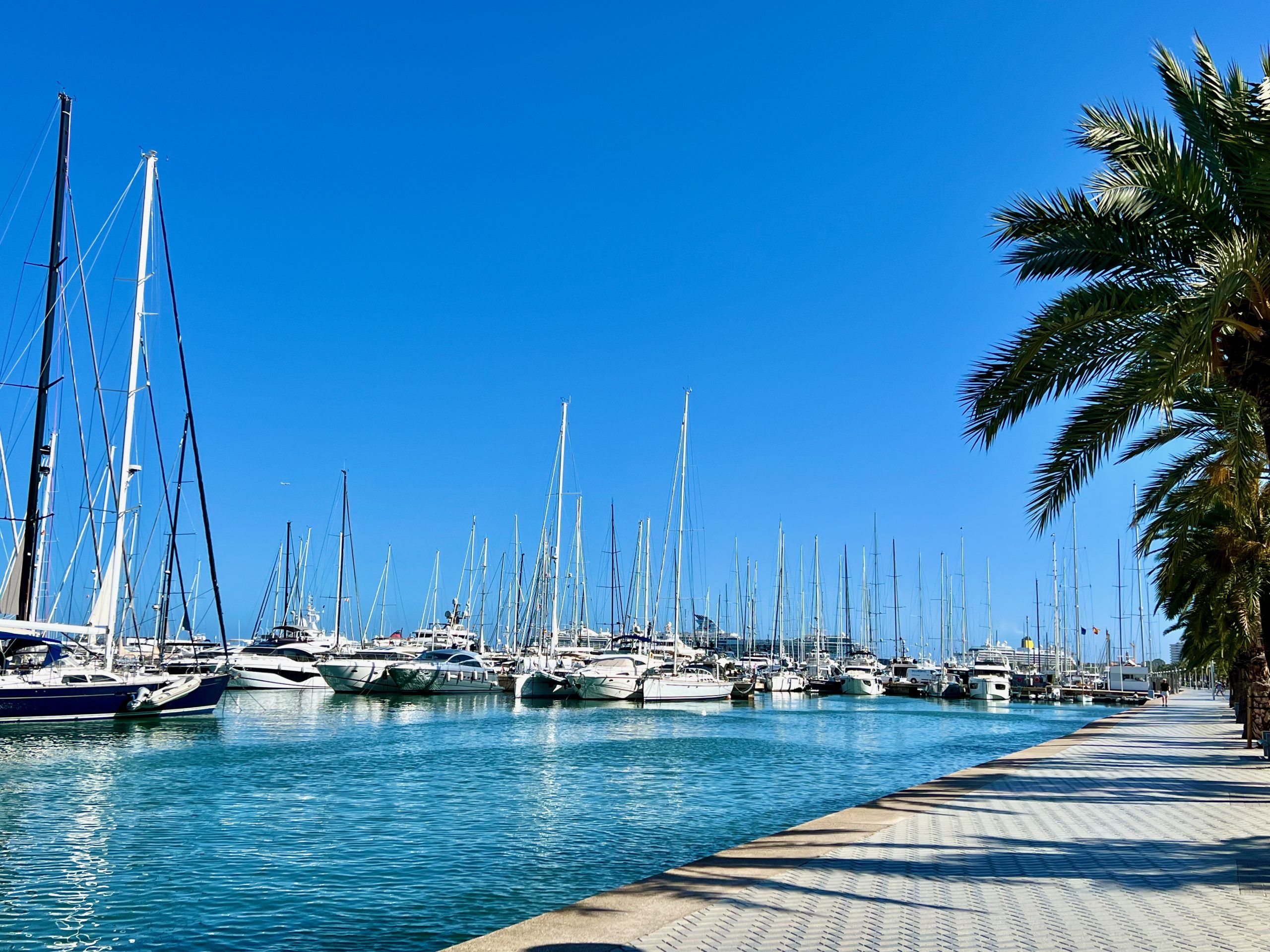 5 Minuten Mallorca | Nachrichten am 10. Juli 2024