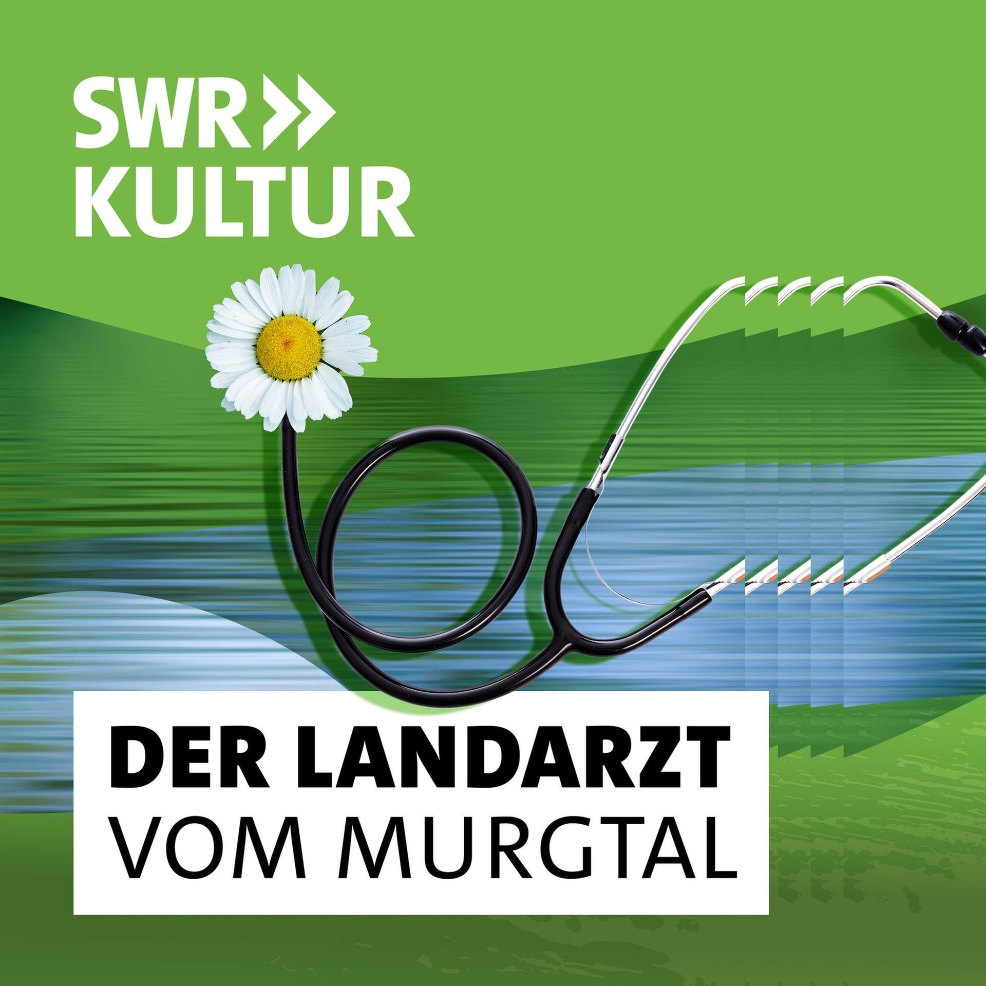 Der Arzt ist die wichtigste Droge. Hanse (01/10)