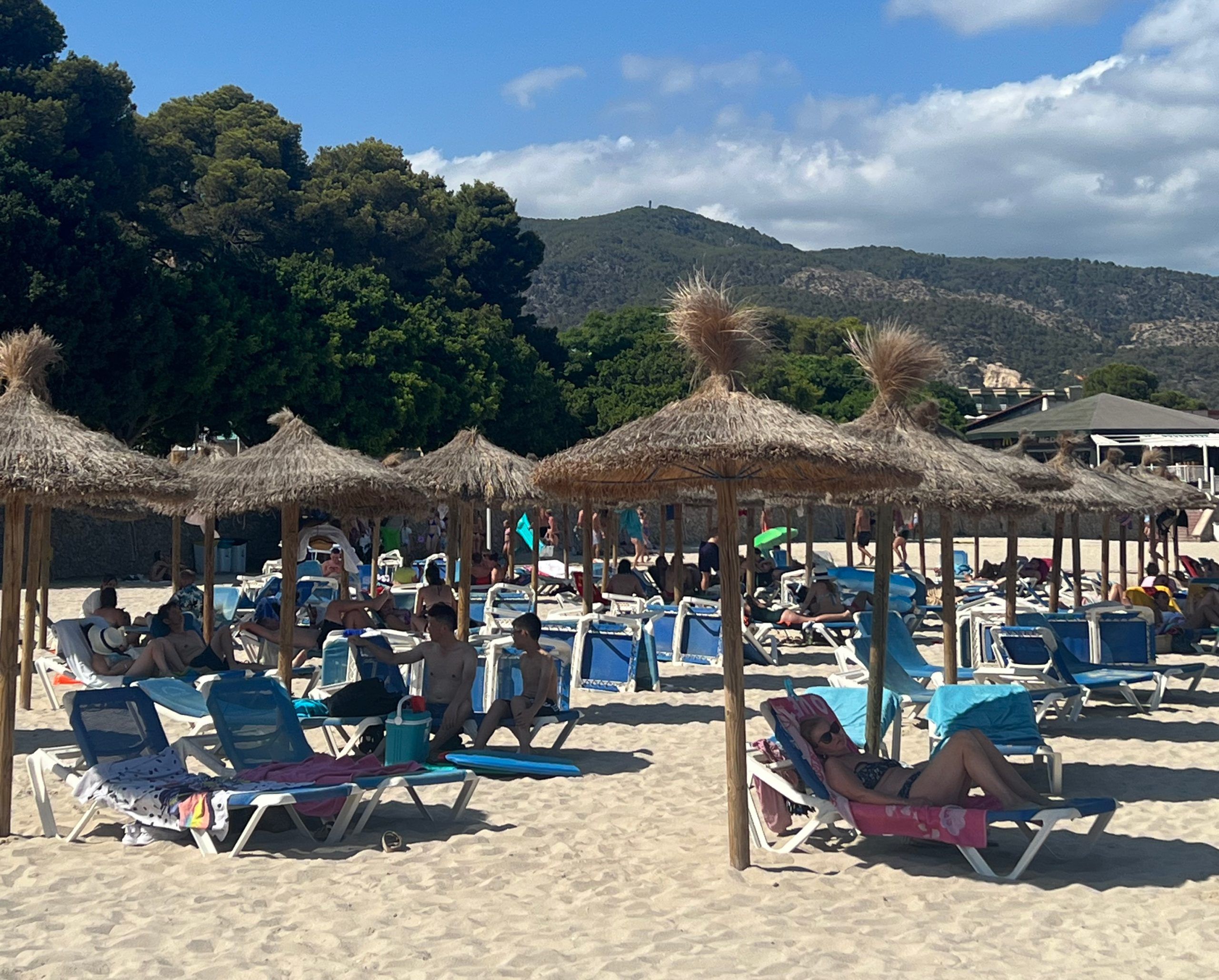 5 Minuten Mallorca | Nachrichten am 1. August 2023