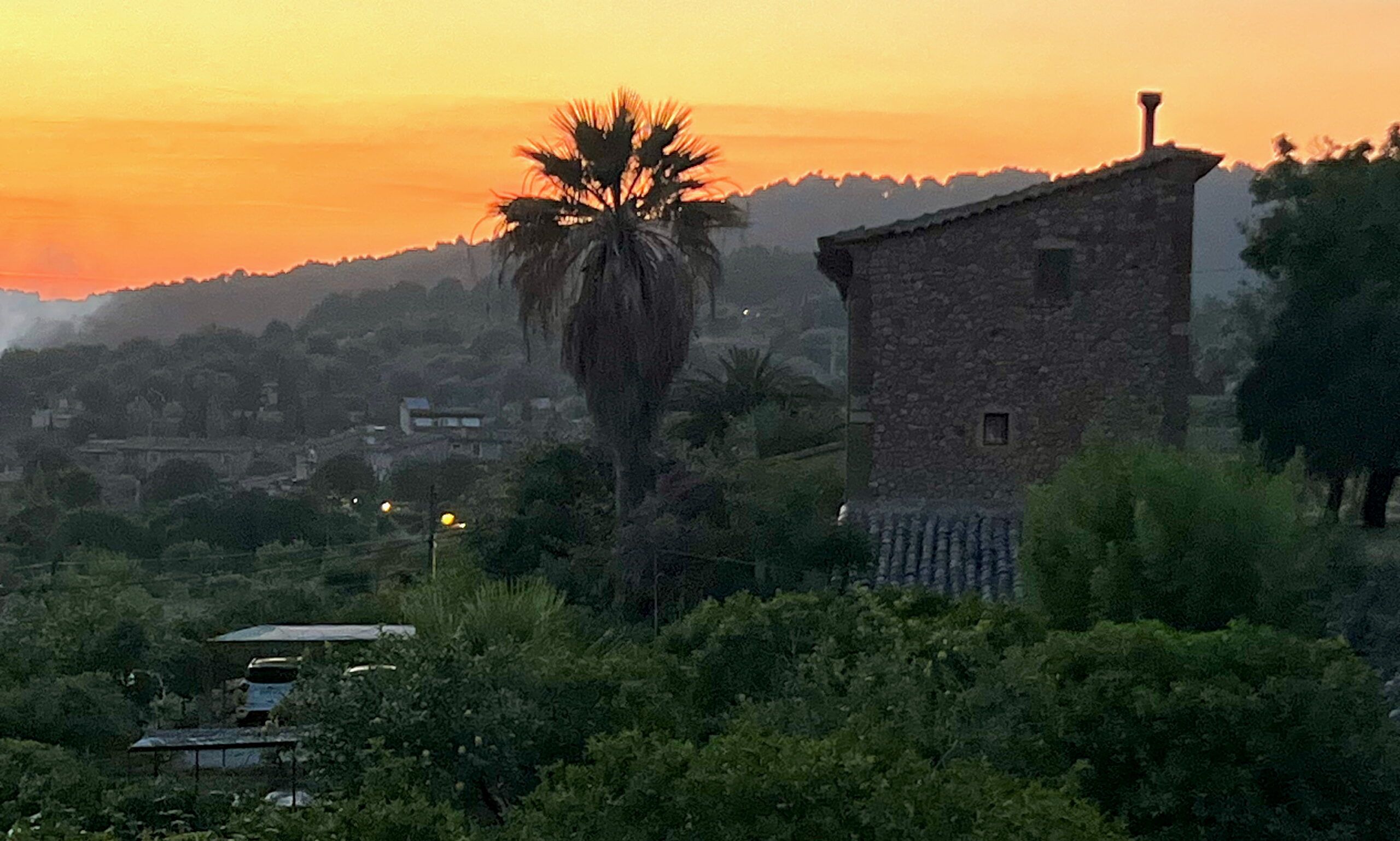 5 Minuten Mallorca | Nachrichten am 12. Juni 2025