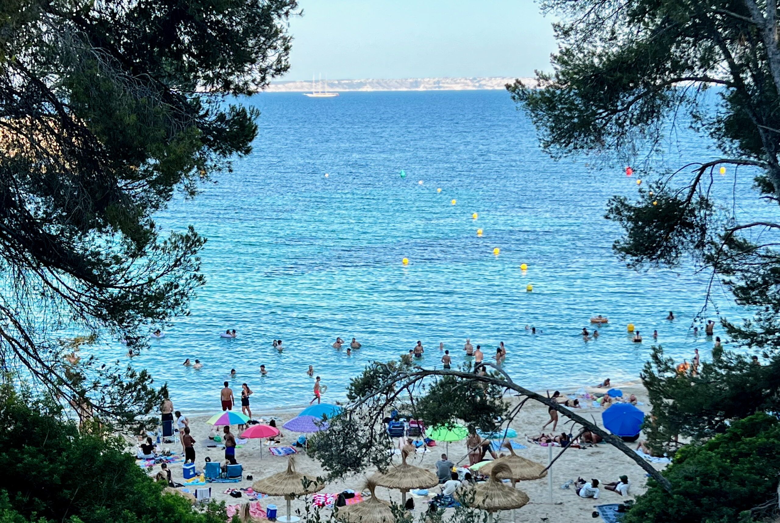 5 Minuten Mallorca | Nachrichten am 2. Juli 2025