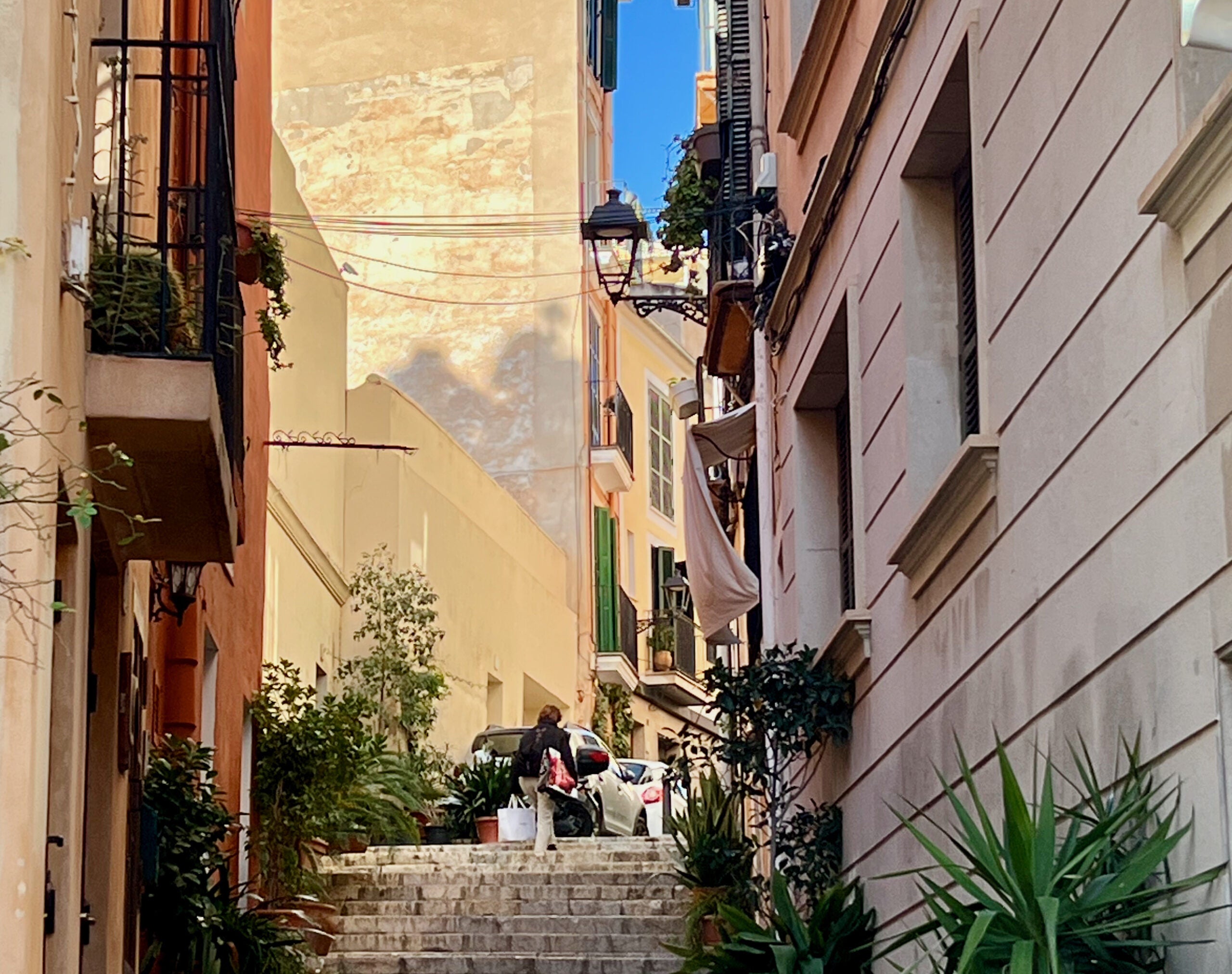 5 Minuten Mallorca | Nachrichten am 2. Januar 2025