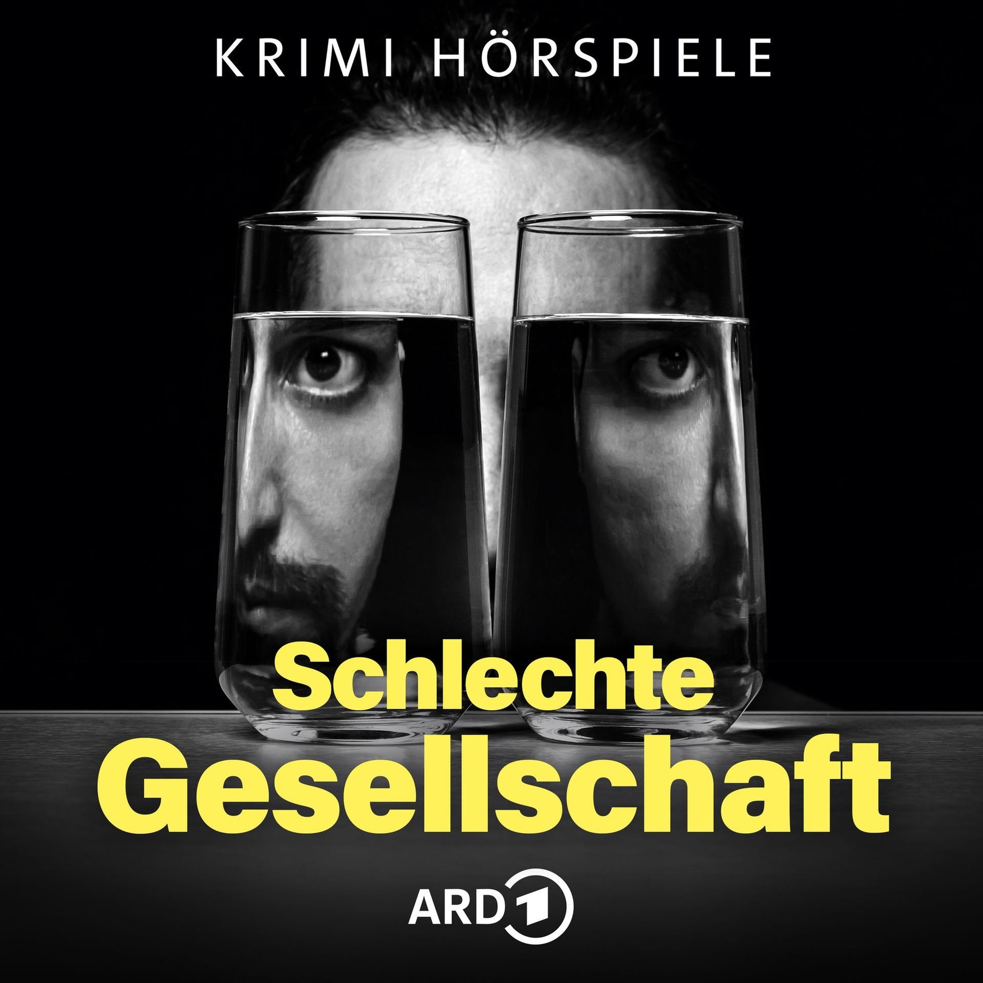 Schlechte Gesellschaft - ARD Polit- und Psychokrimis