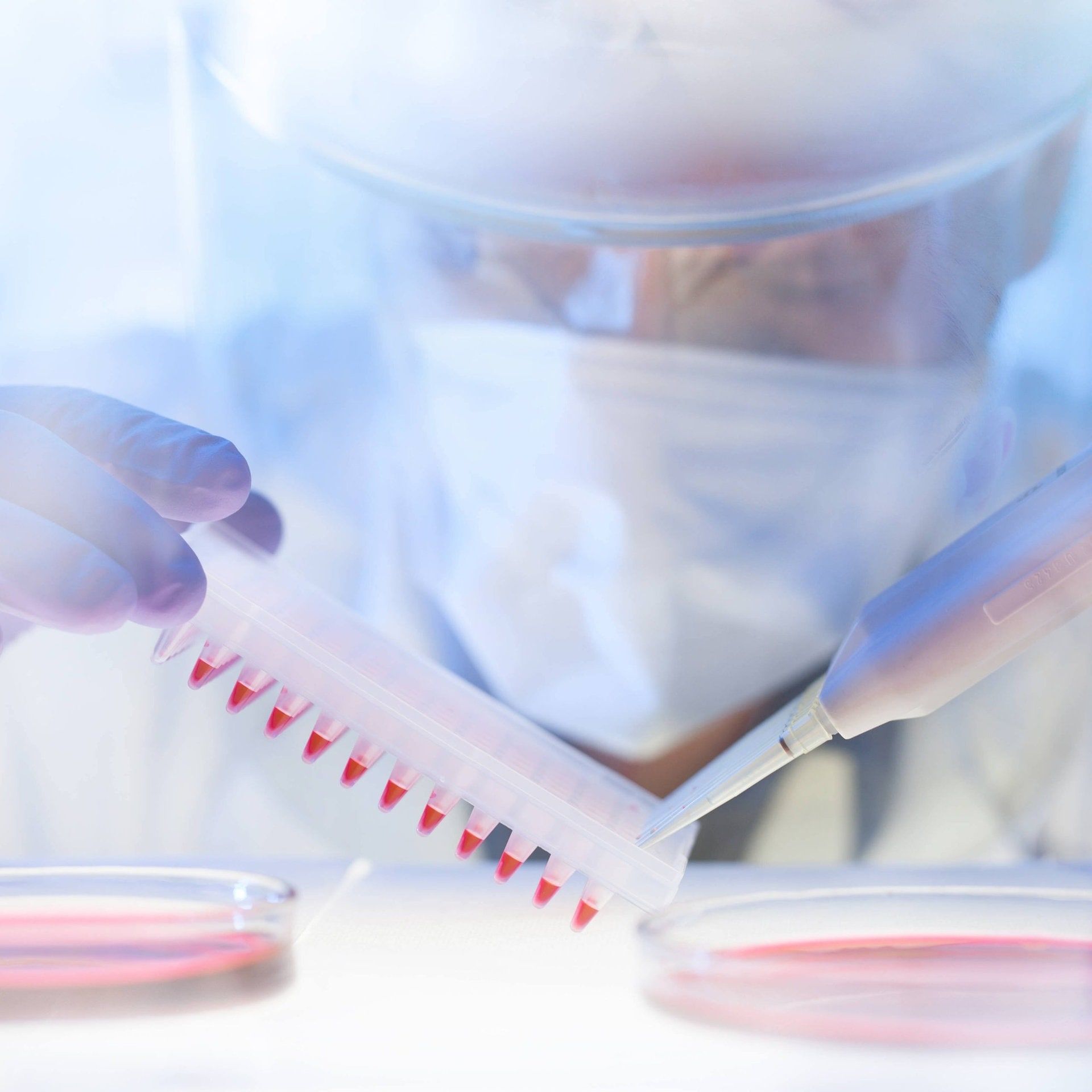 "Scheitern" in der Wissenschaft – Wie ein Tabu das Forschen erschwert