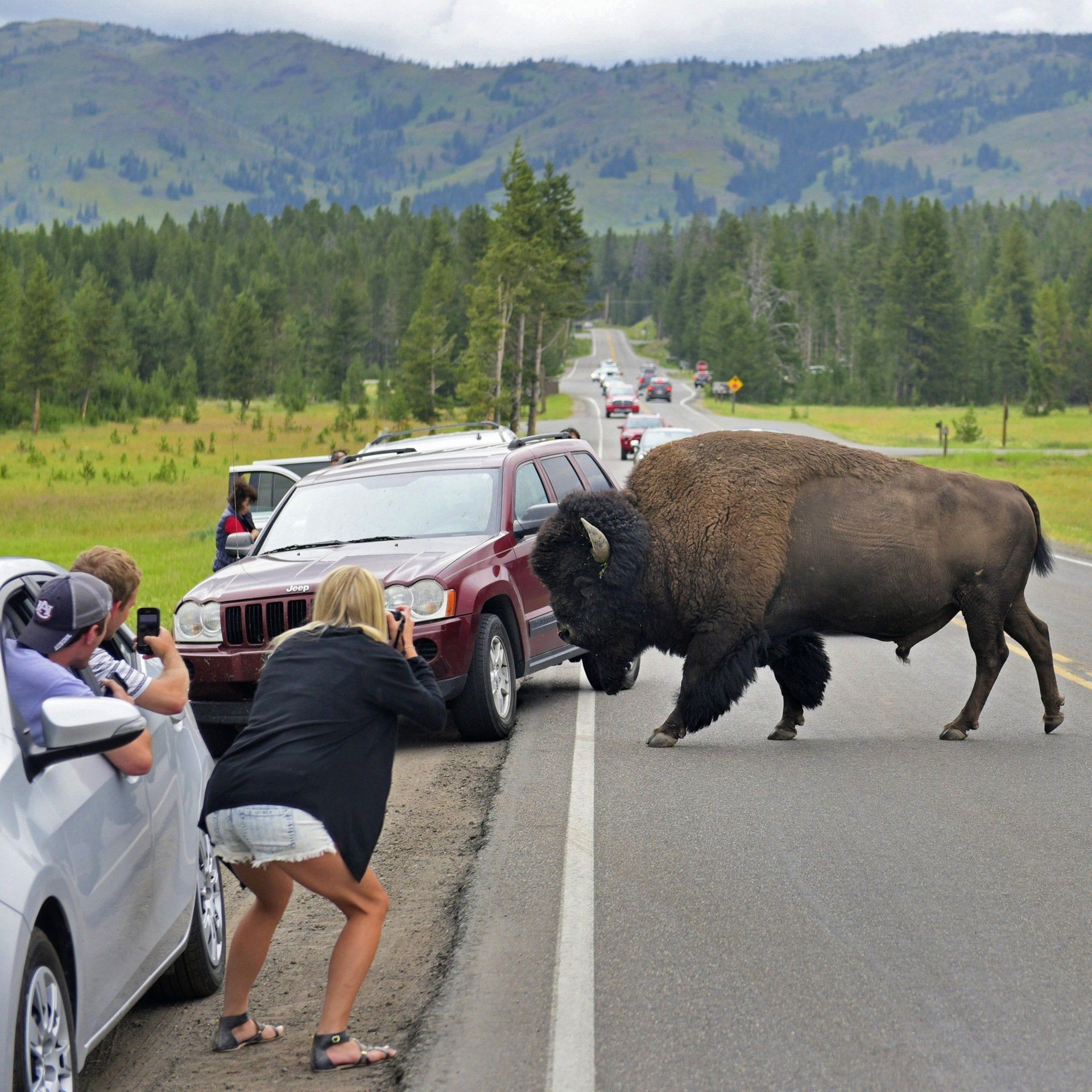 Yellowstone – Der erste Nationalpark der Welt