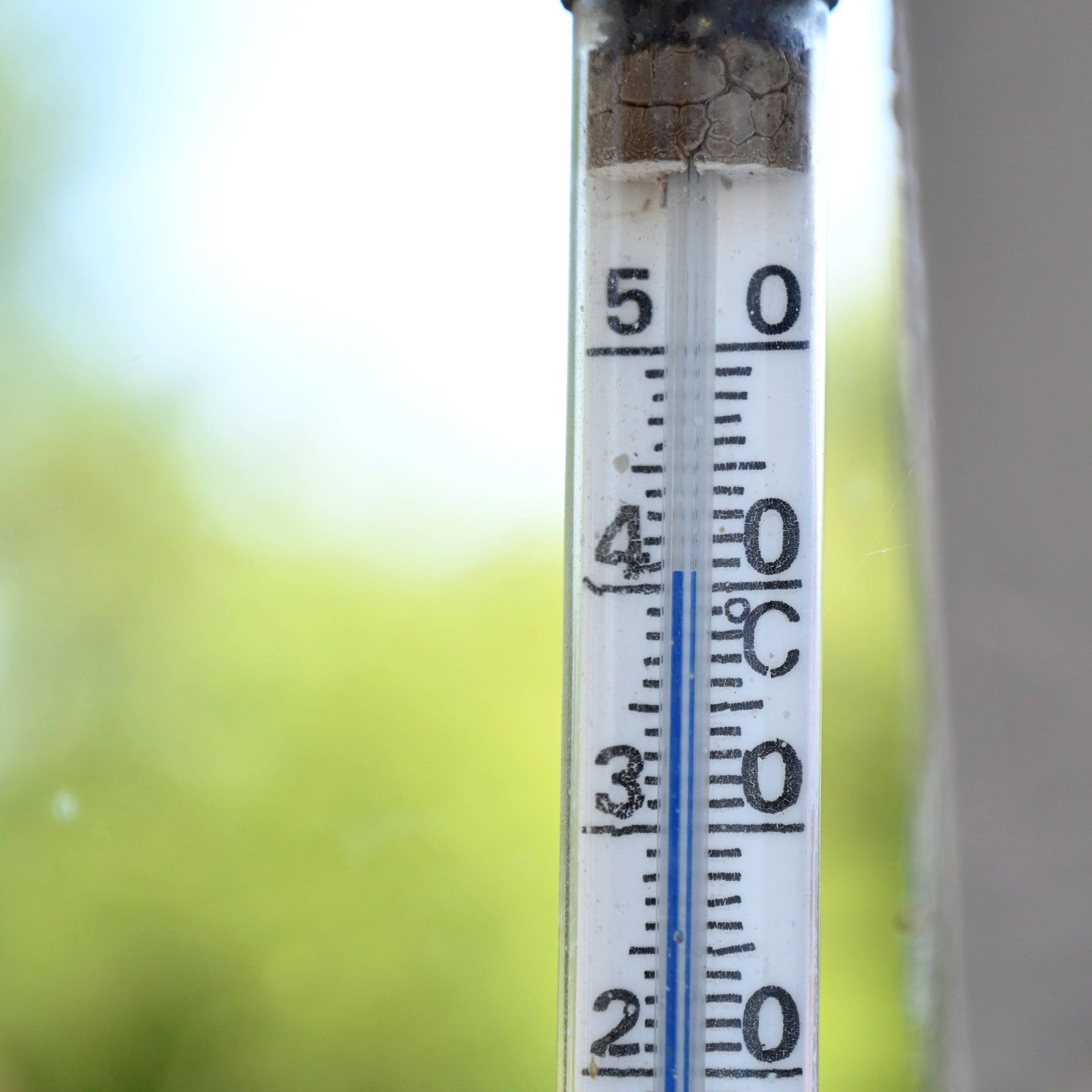 Wie der Klimawandel krank macht