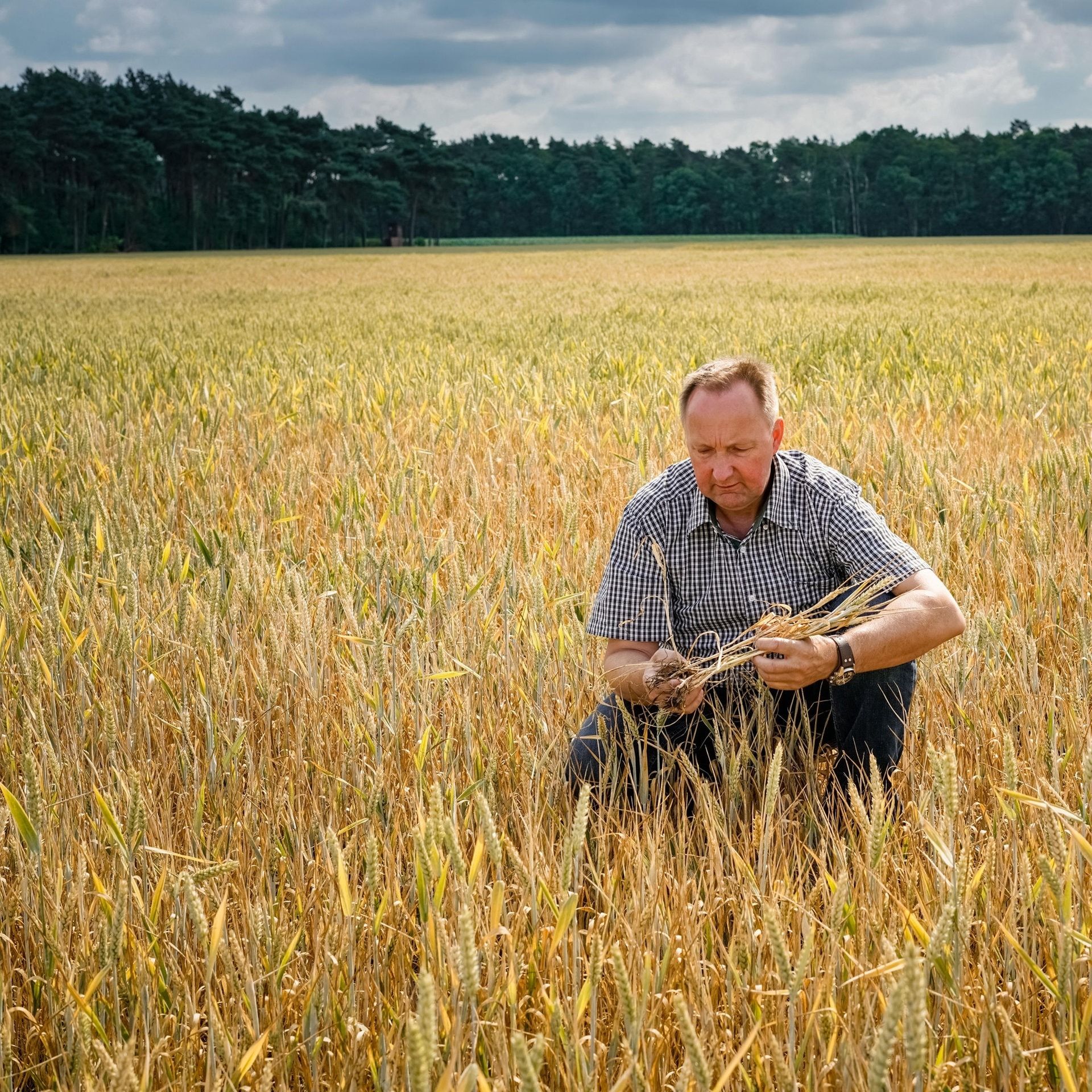 Bauern im Burnout – Psychische Belastung von Landwirten