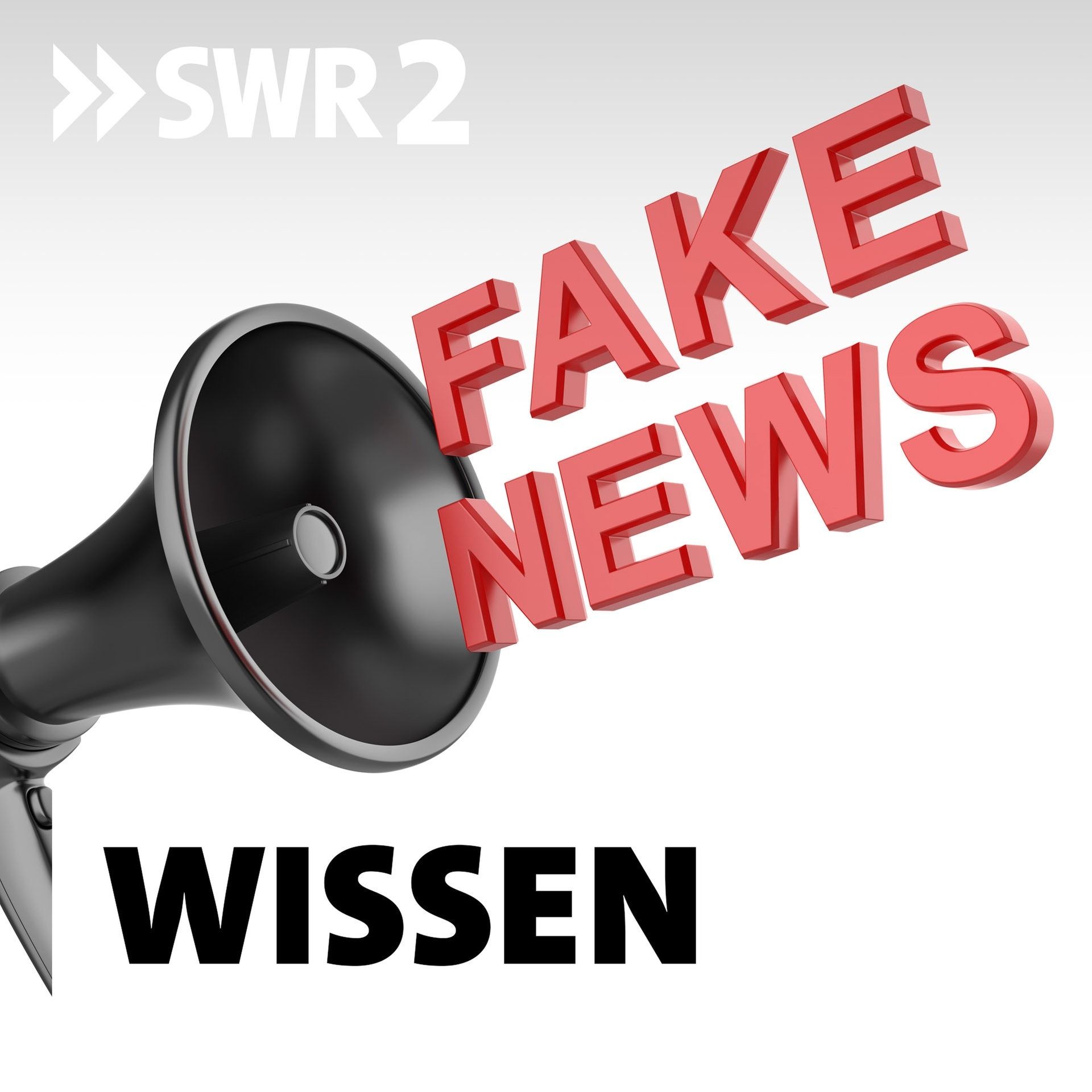 Fake News und die große Vertrauenskrise | "Wir haben die ungeheure Macht der Desinformation erlebt"