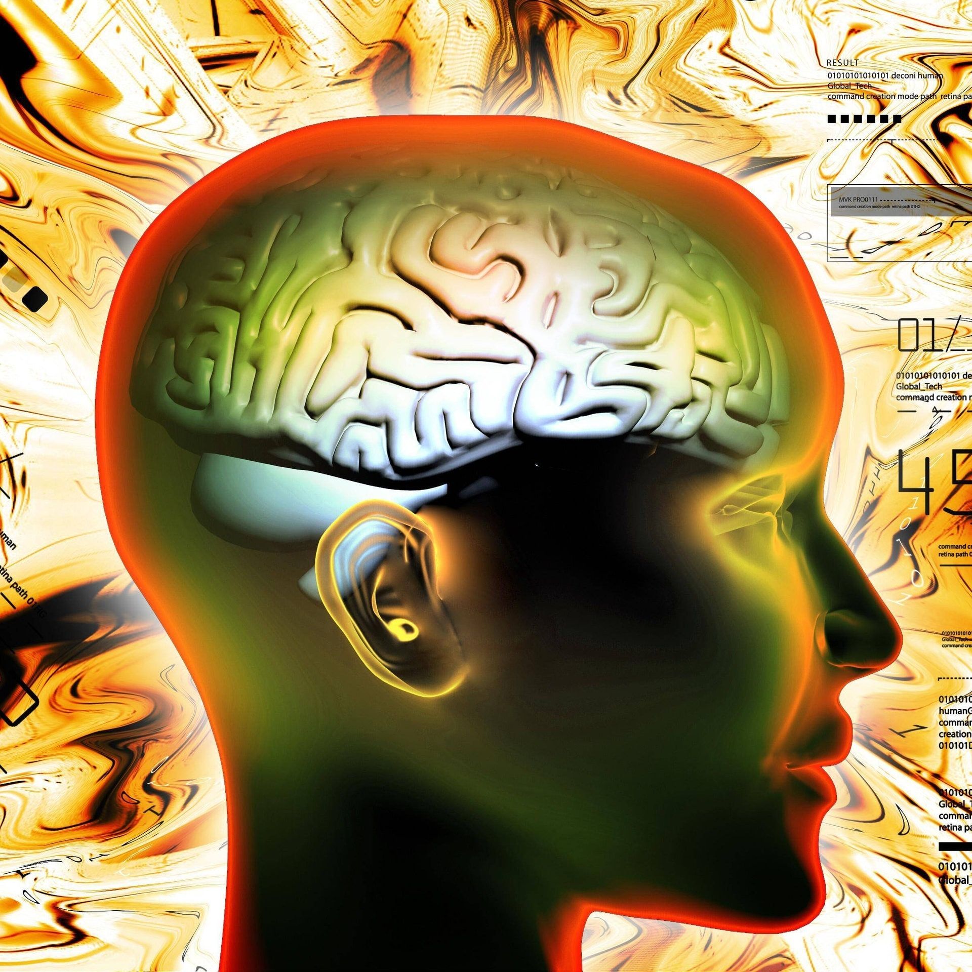 Wie entsteht Intelligenz und lässt sie sich fördern?
