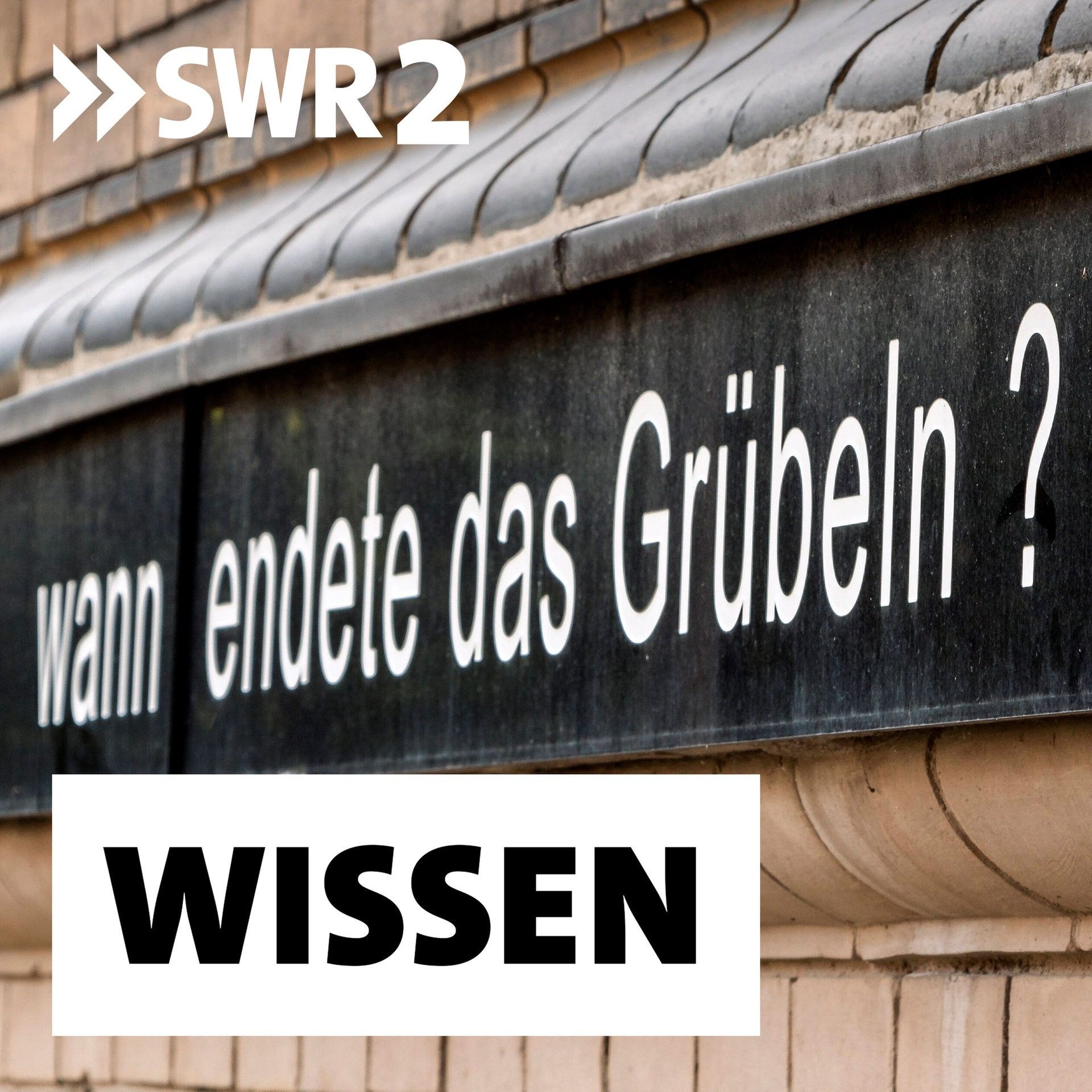Philosophie für die Öffentlichkeit | "... offenlegen, worüber man redet ..." | Thomas Arnold (Uni Heidelberg) im SWR Science Talk