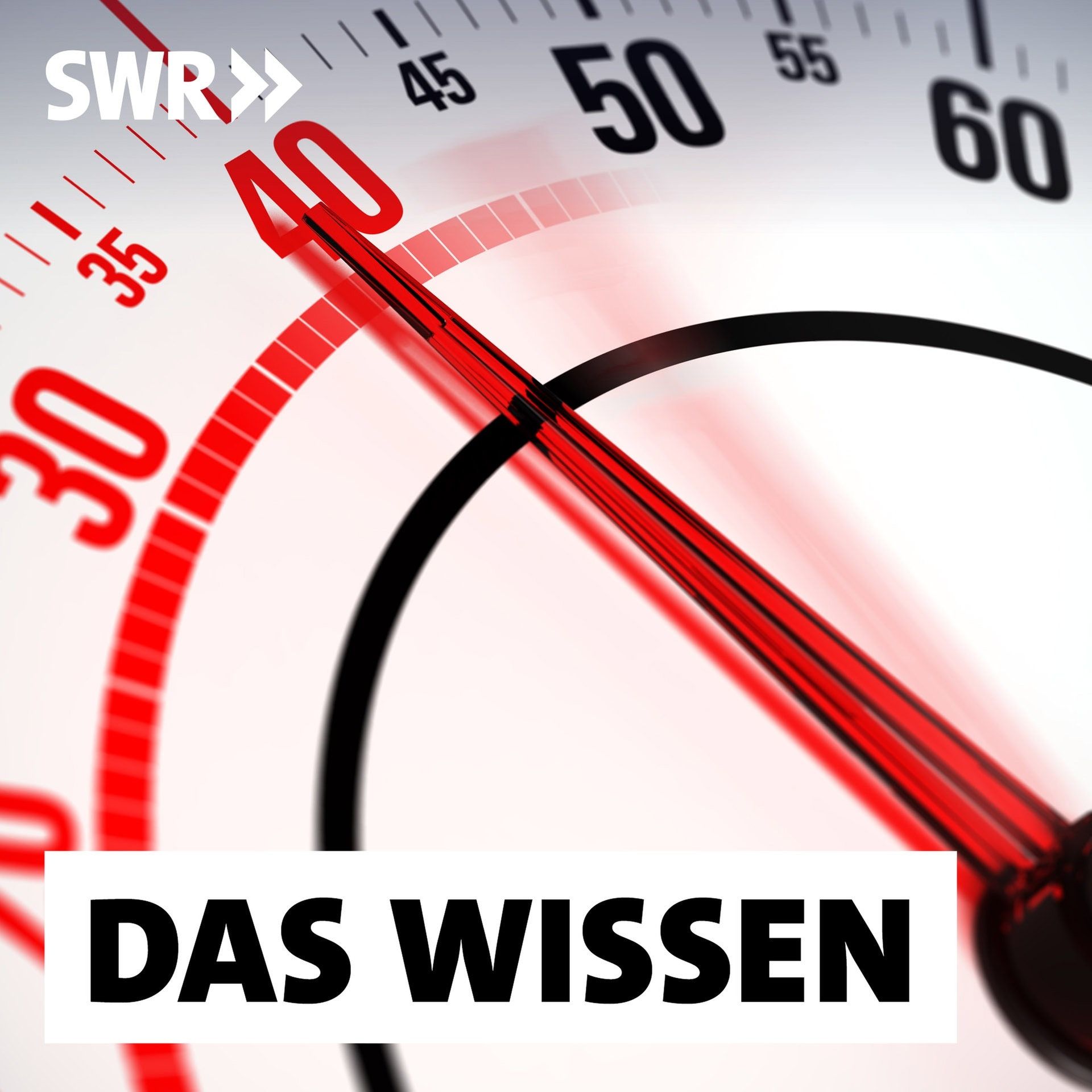 Essstörungen – Ursachen und Therapien
