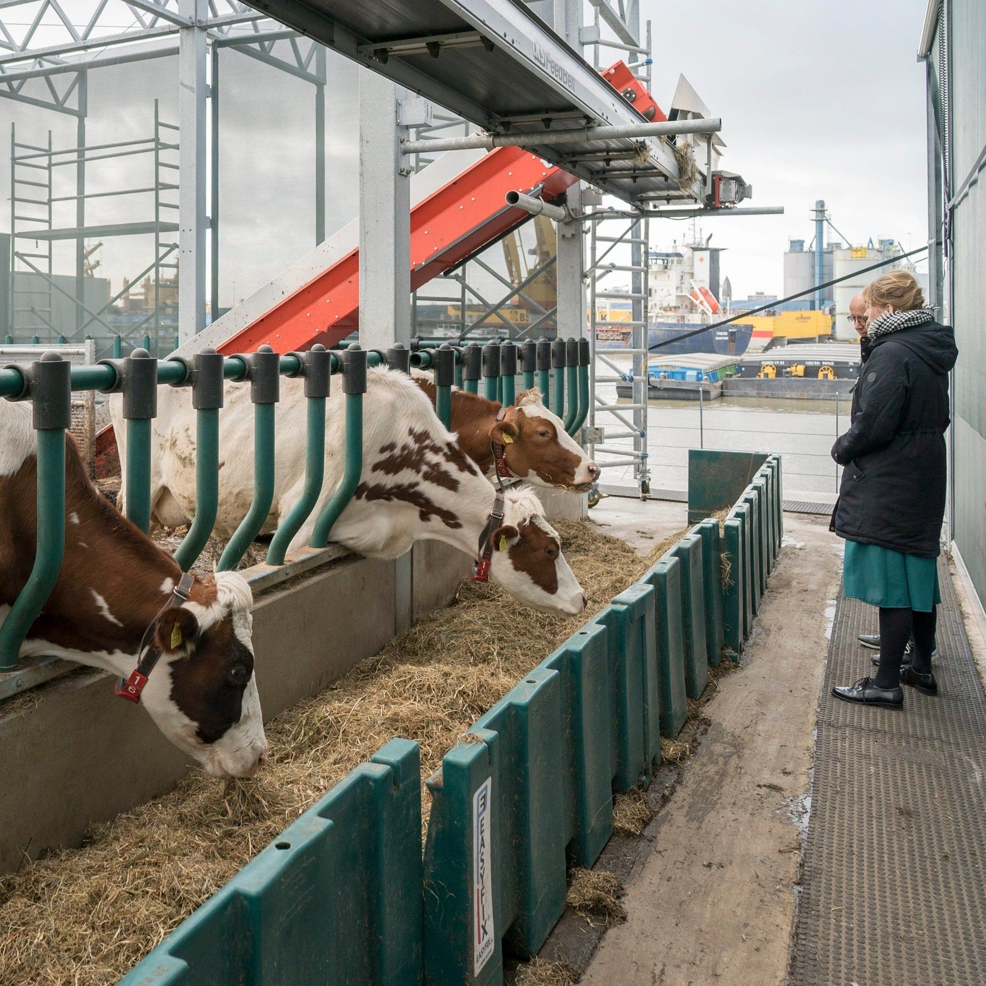 Urbane Landwirtschaft – Könnten Städte sich selbst versorgen?