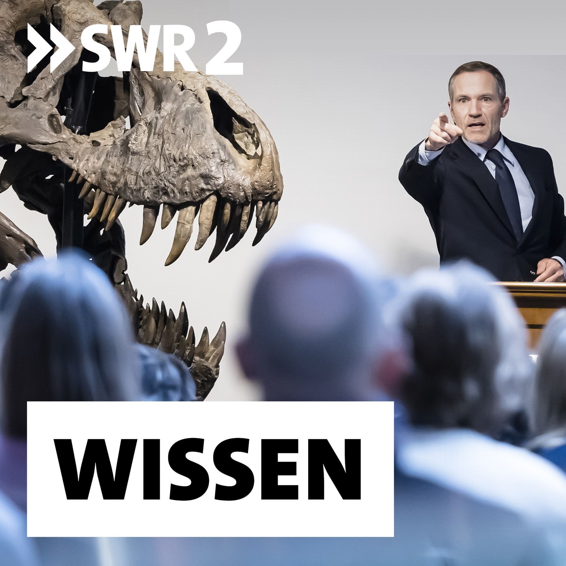 Handel mit Fossilien – Wenn T-Rex unter den Hammer kommt