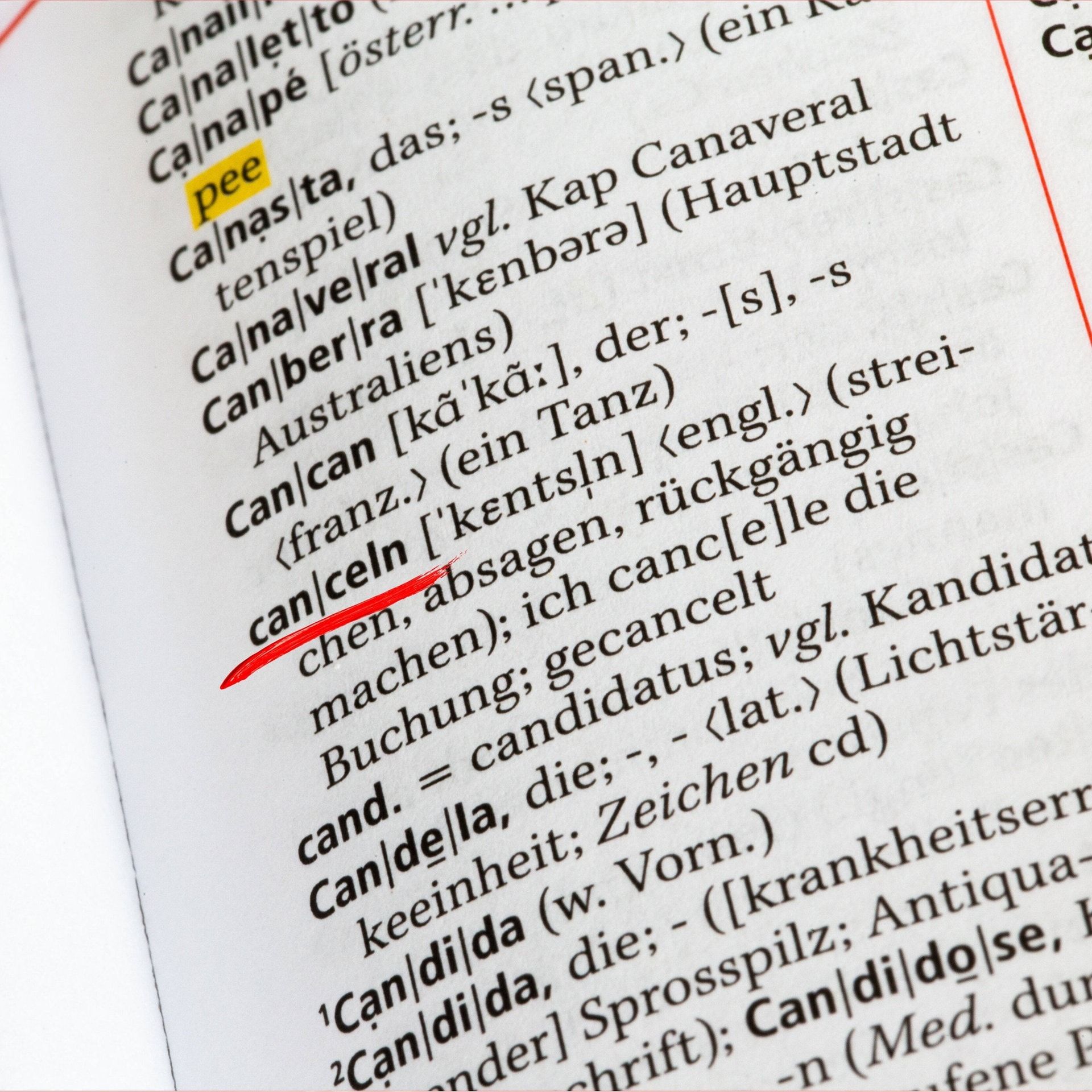 Warum wird das Deutsche immer englischer? | Der Journalist Peter Littger hat spannende Erkenntnisse