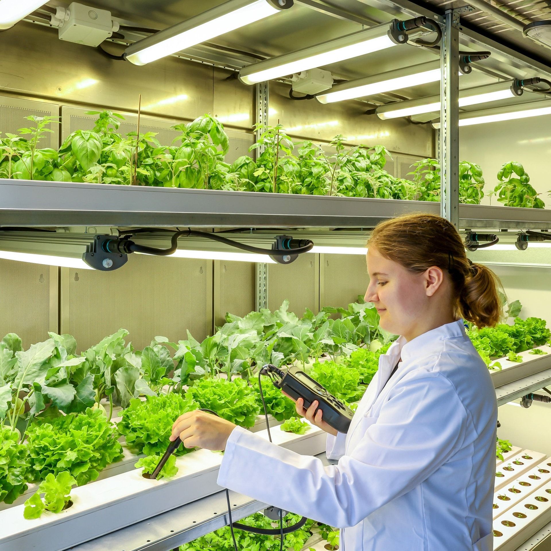 Ressourcen schonen, wenig verschwenden – Neue Wege der Agrartechnik