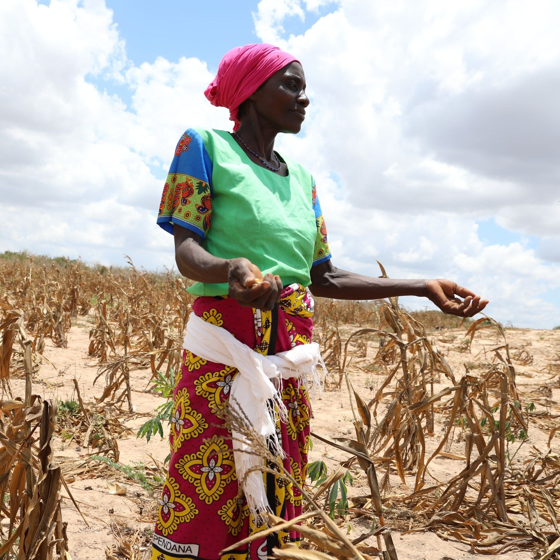 Getreide-Krise in Afrika – Hunger, Unruhen und neue Chancen