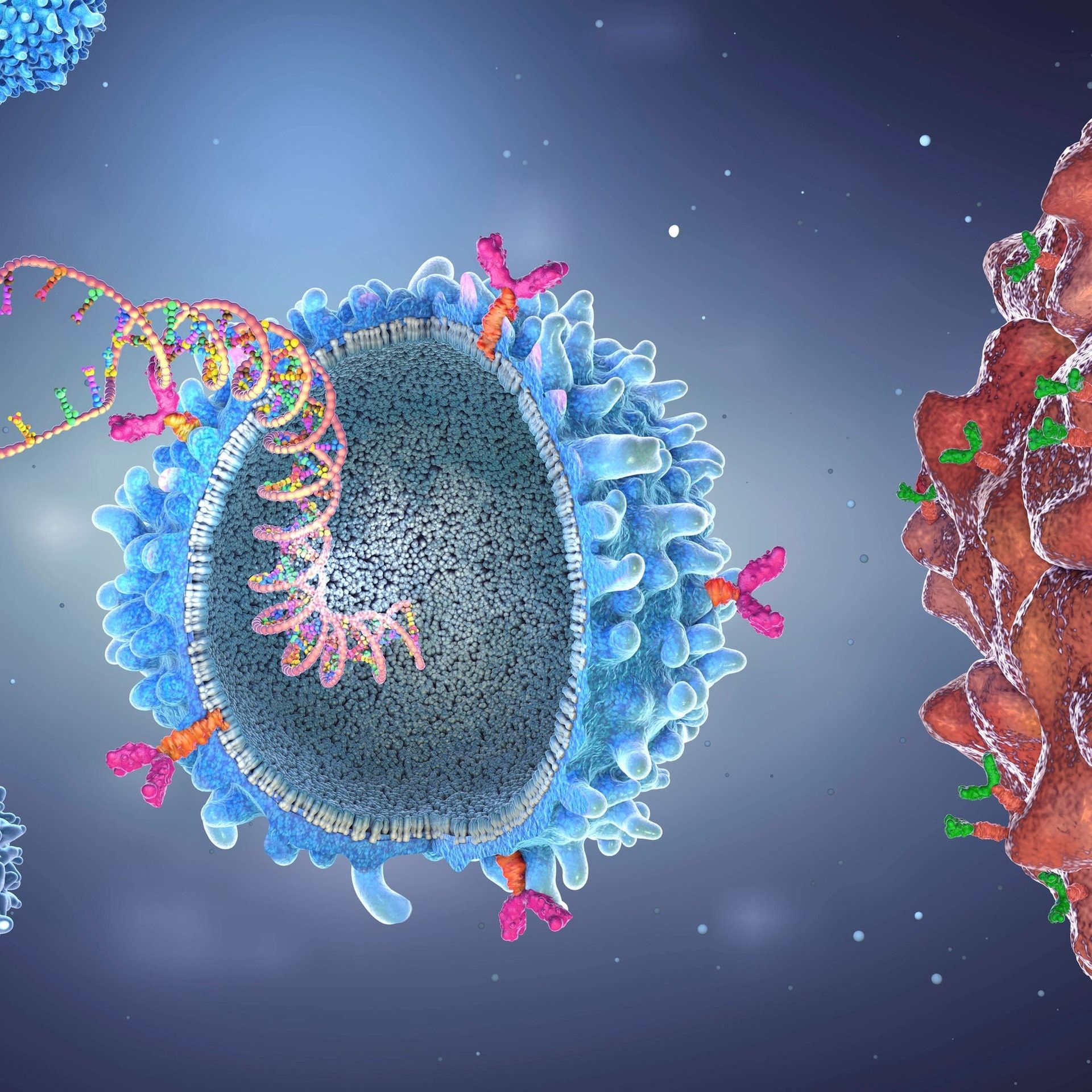 Immuntherapie bei Krebs – Aussicht auf Heilung?