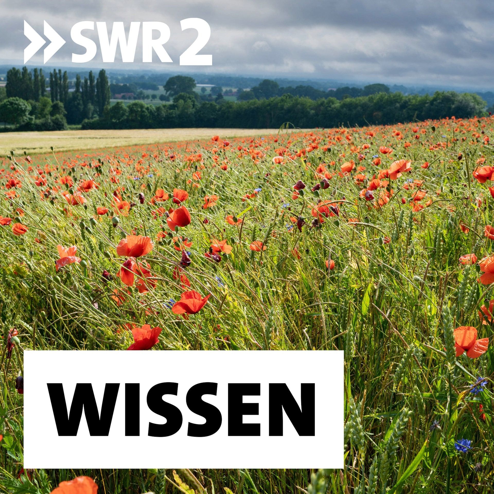 Reiche Ernte mit weniger Pestiziden – Landwirte müssen umdenken