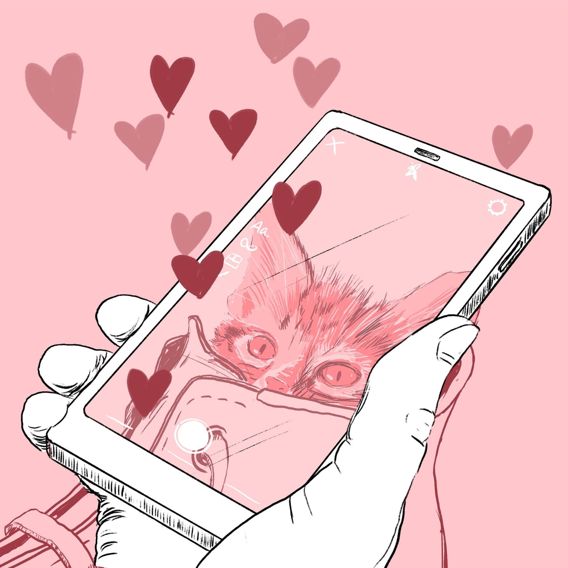 Grumpy Cat, Leinwandmonster und andere Medientiere | Das Tier und Wir (10/10)