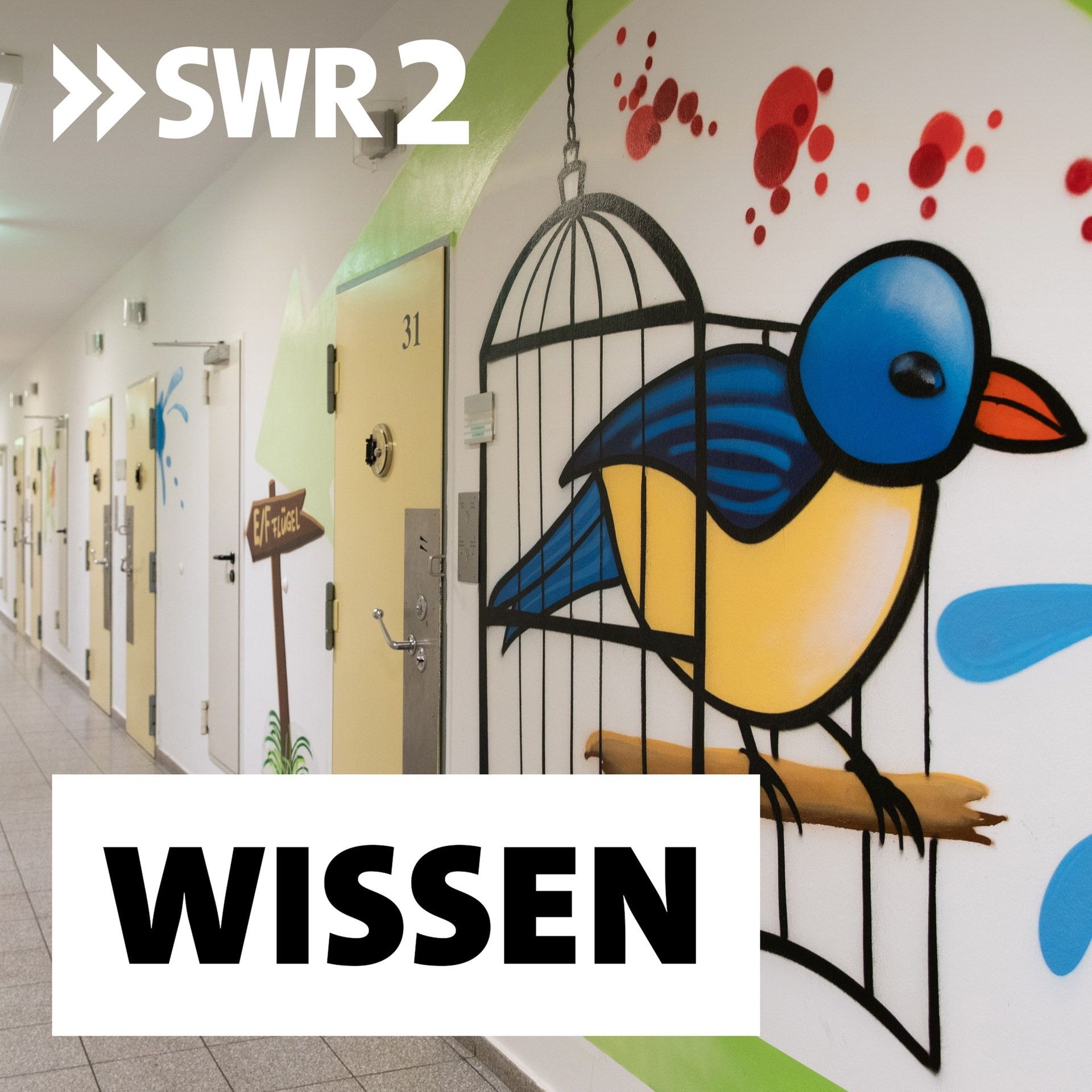 Knast, und dann? – Wege aus der Jugendkriminalität