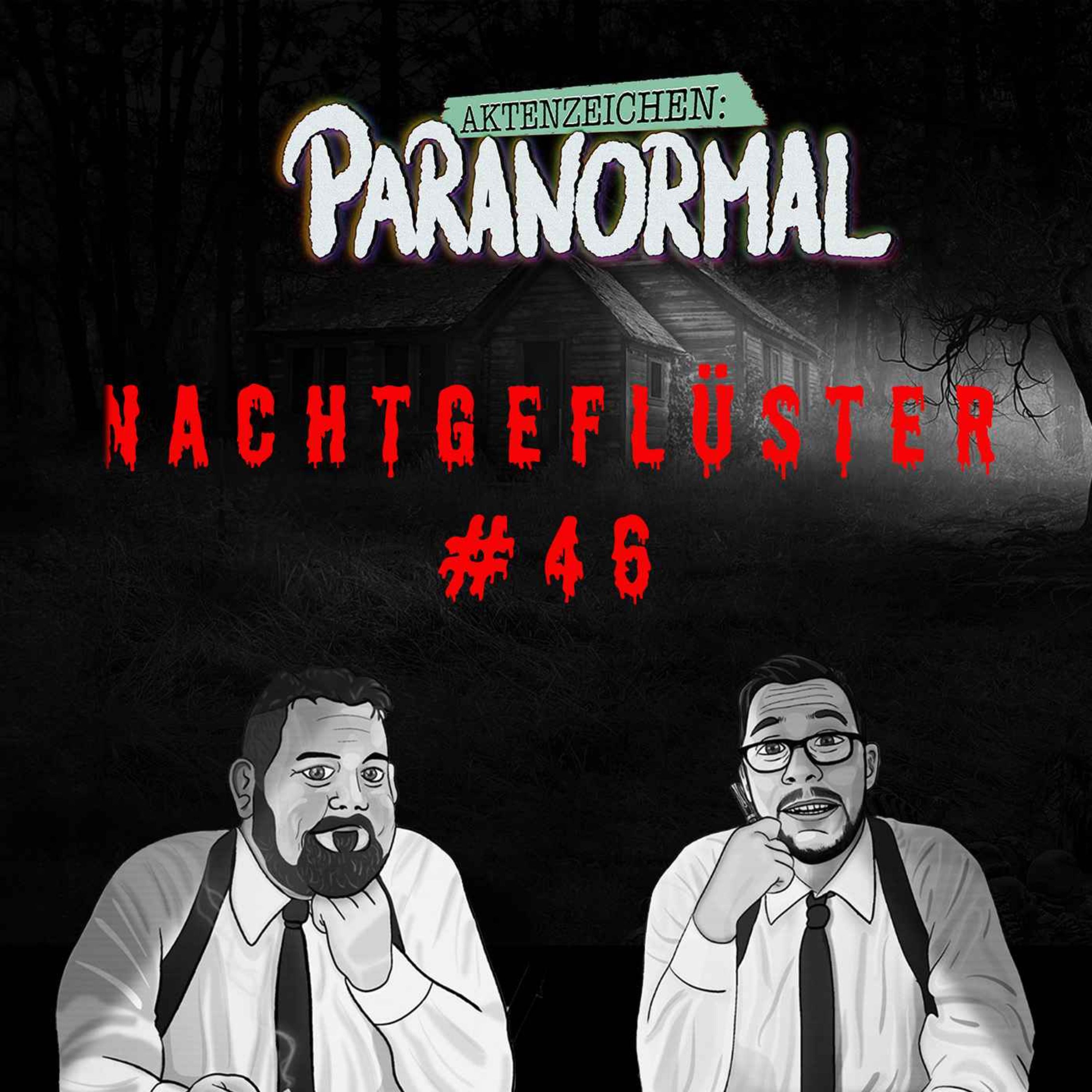 Aktenzeichen Nachtgeflüster #46: Erlebnisse der Community