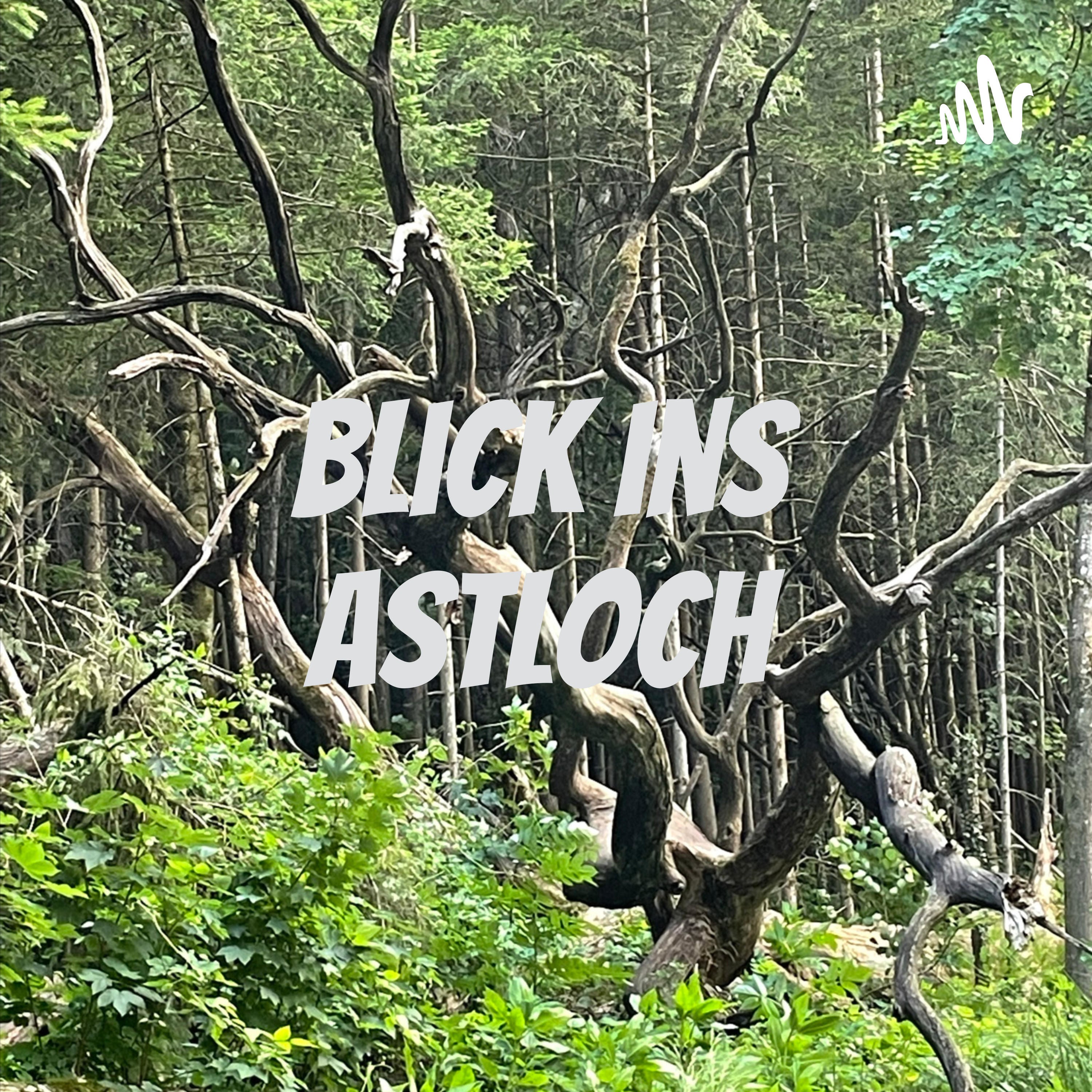 Blick ins Astloch
