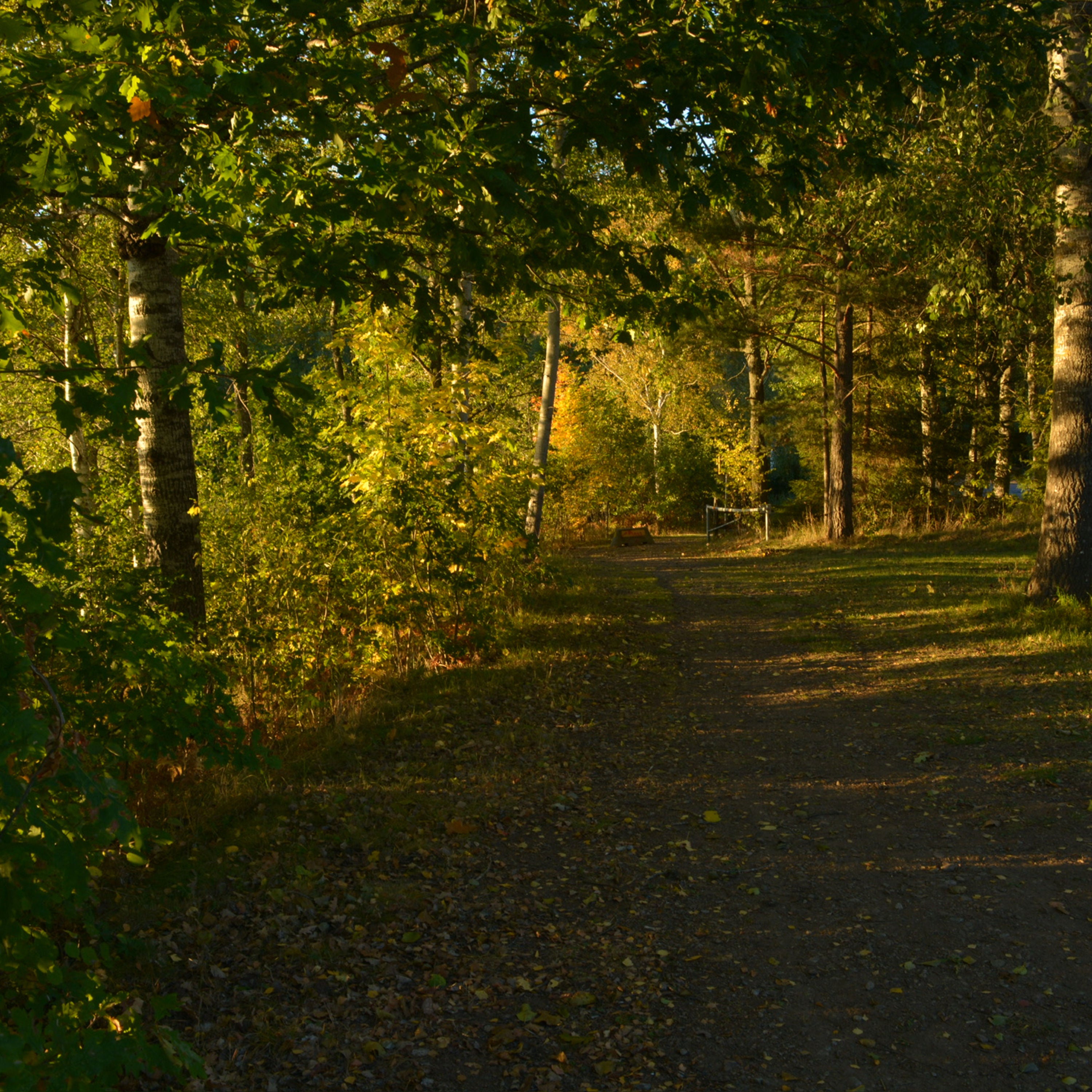#38 „Eines Morgens riechst du den Herbst“