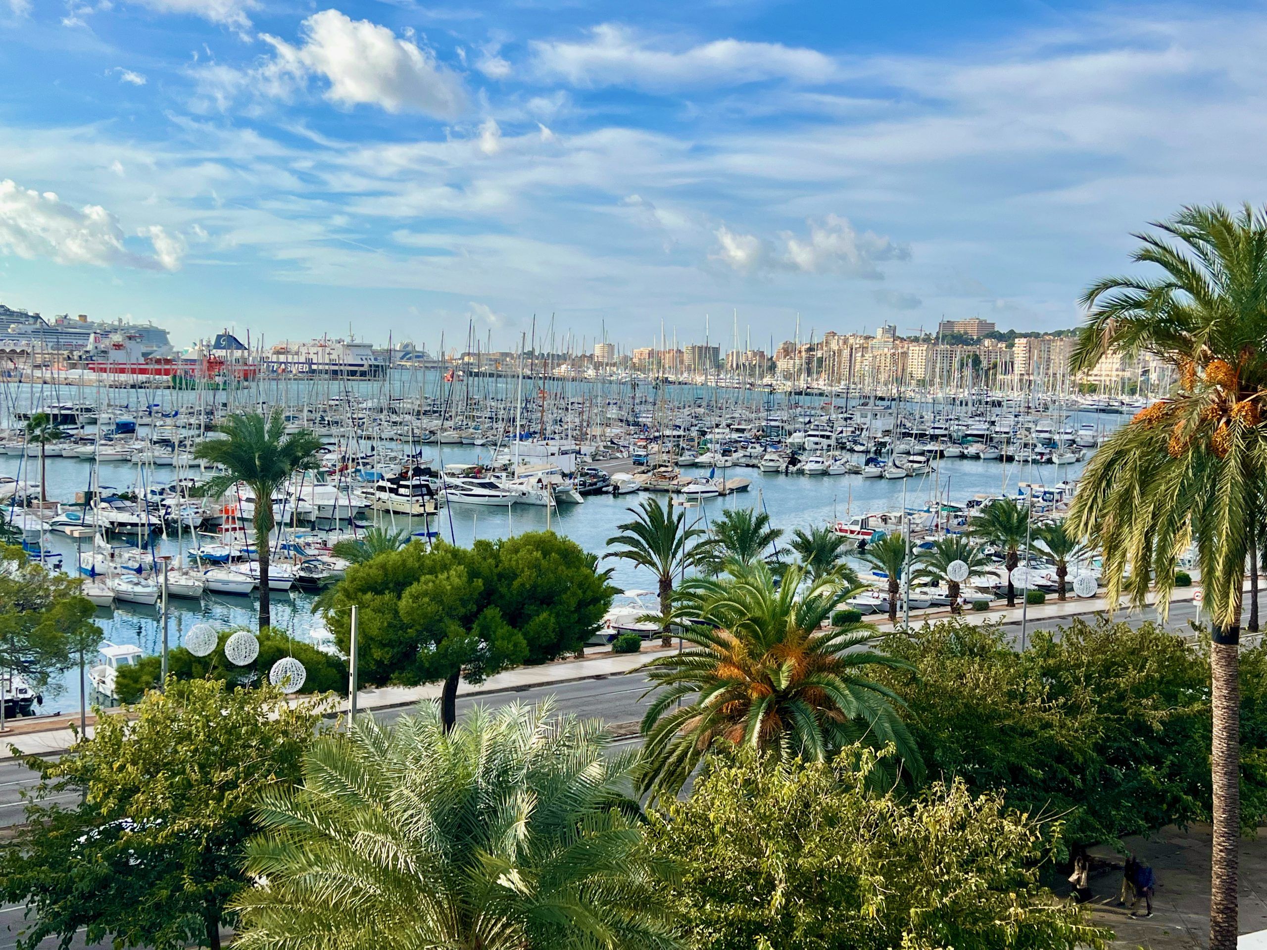 5 Minuten Mallorca | Nachrichten am 30. Dezember 2022