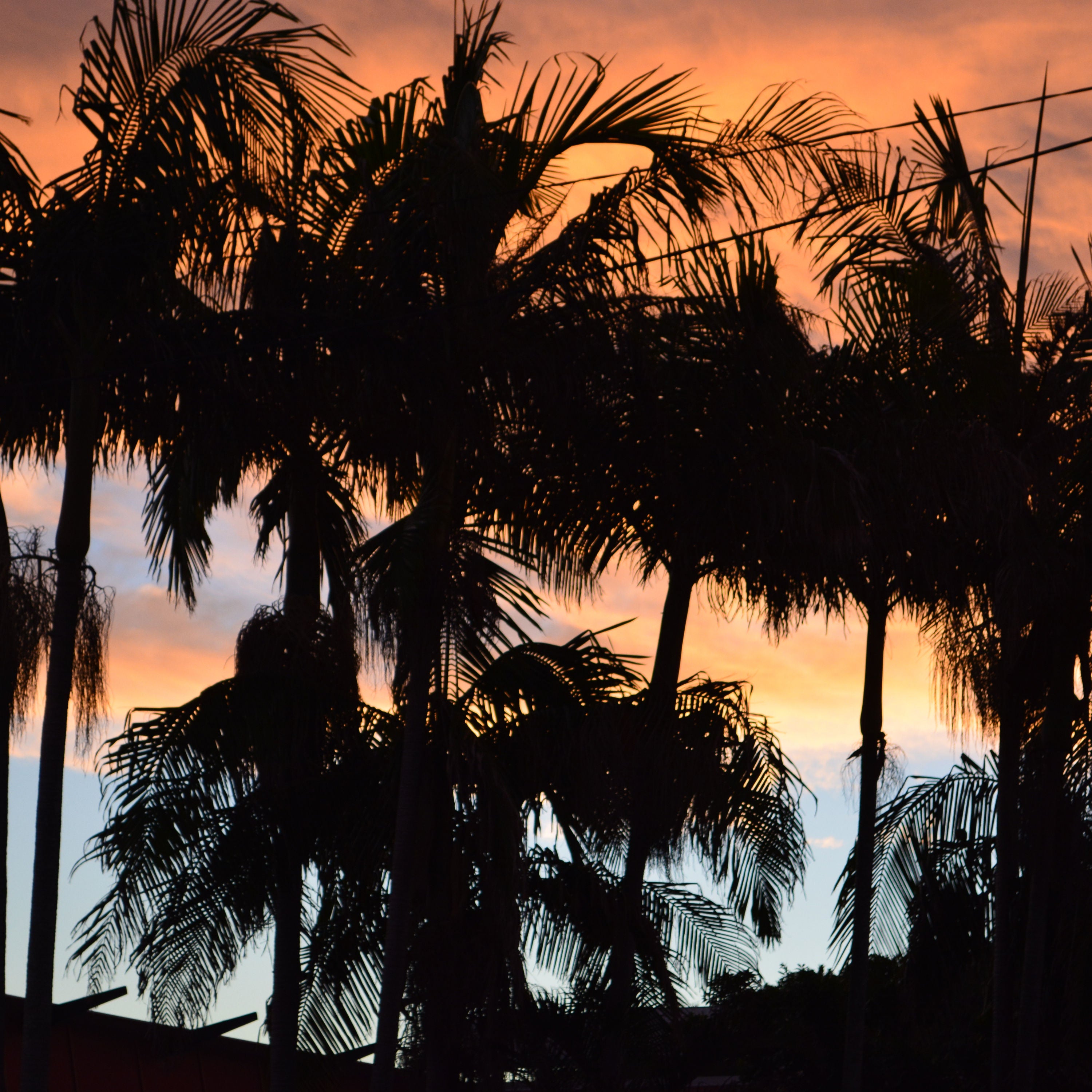 #24 Sonnenuntergang in Byron Bay