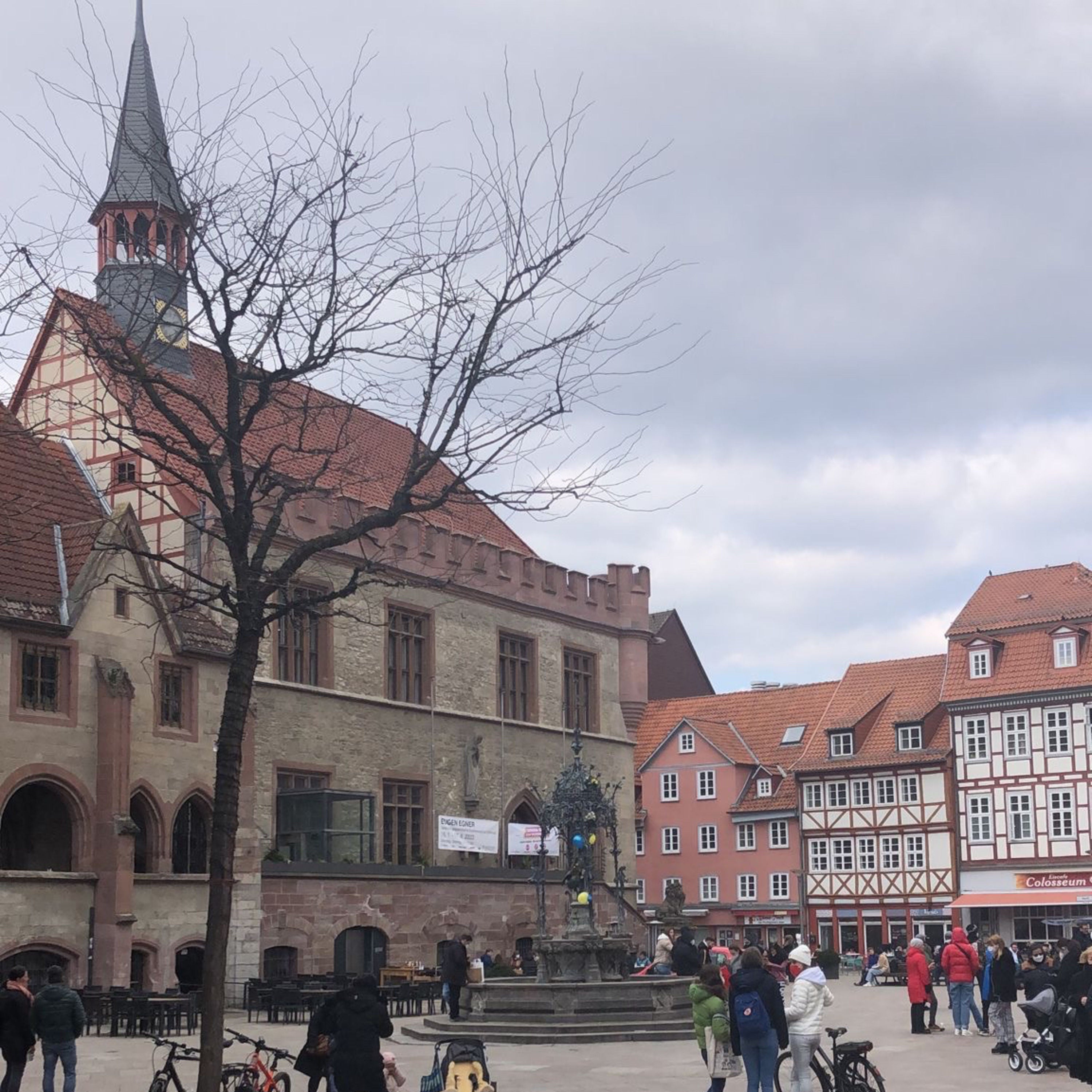#40 Heimkehr nach Göttingen – Ein Herbstspaziergang voller Dankbarkeit