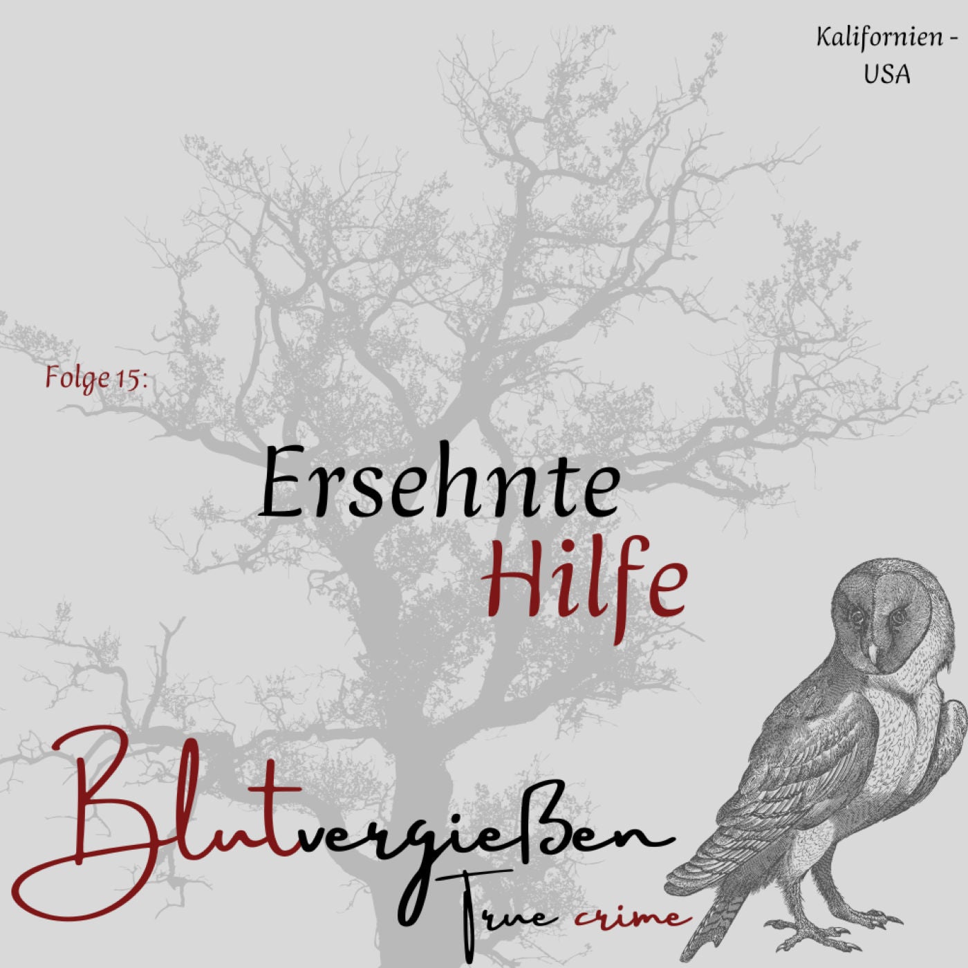 Gabriel Fernandez - Ersehnte Hilfe