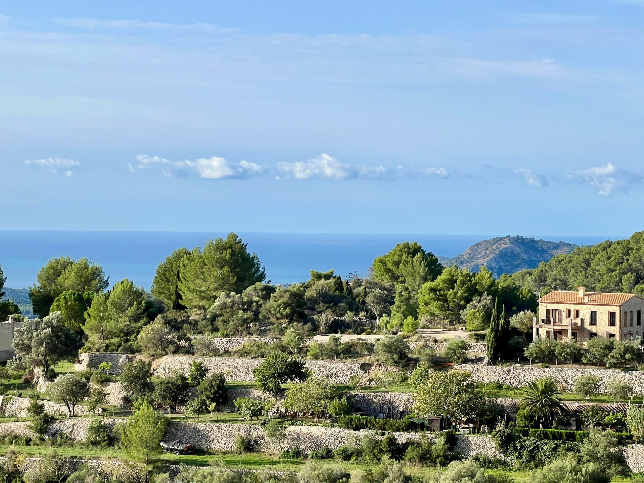 5 Minuten Mallorca | Nachrichten am 8. August 2024