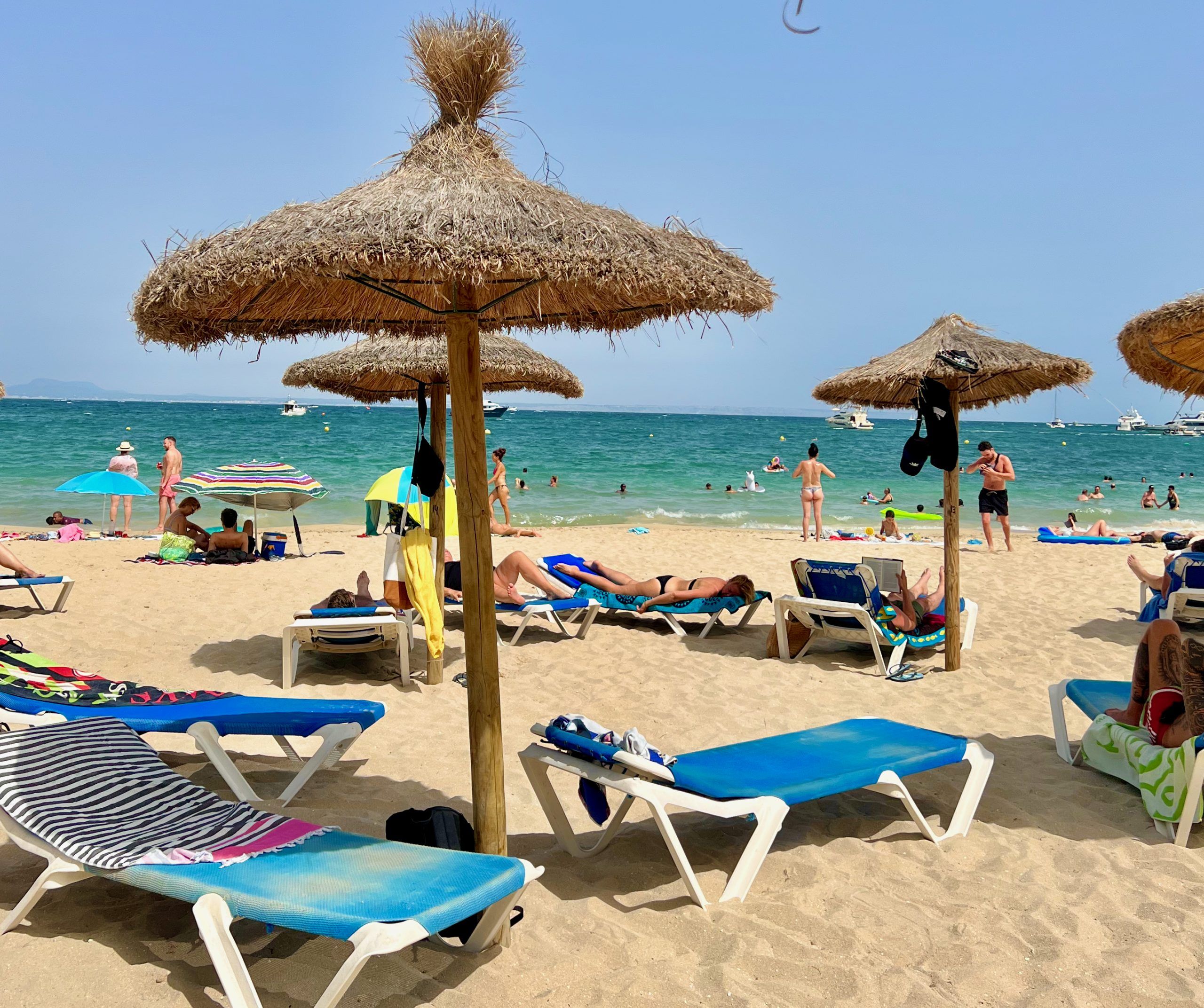 5 Minuten Mallorca | Nachrichten am 14. Juni 2024