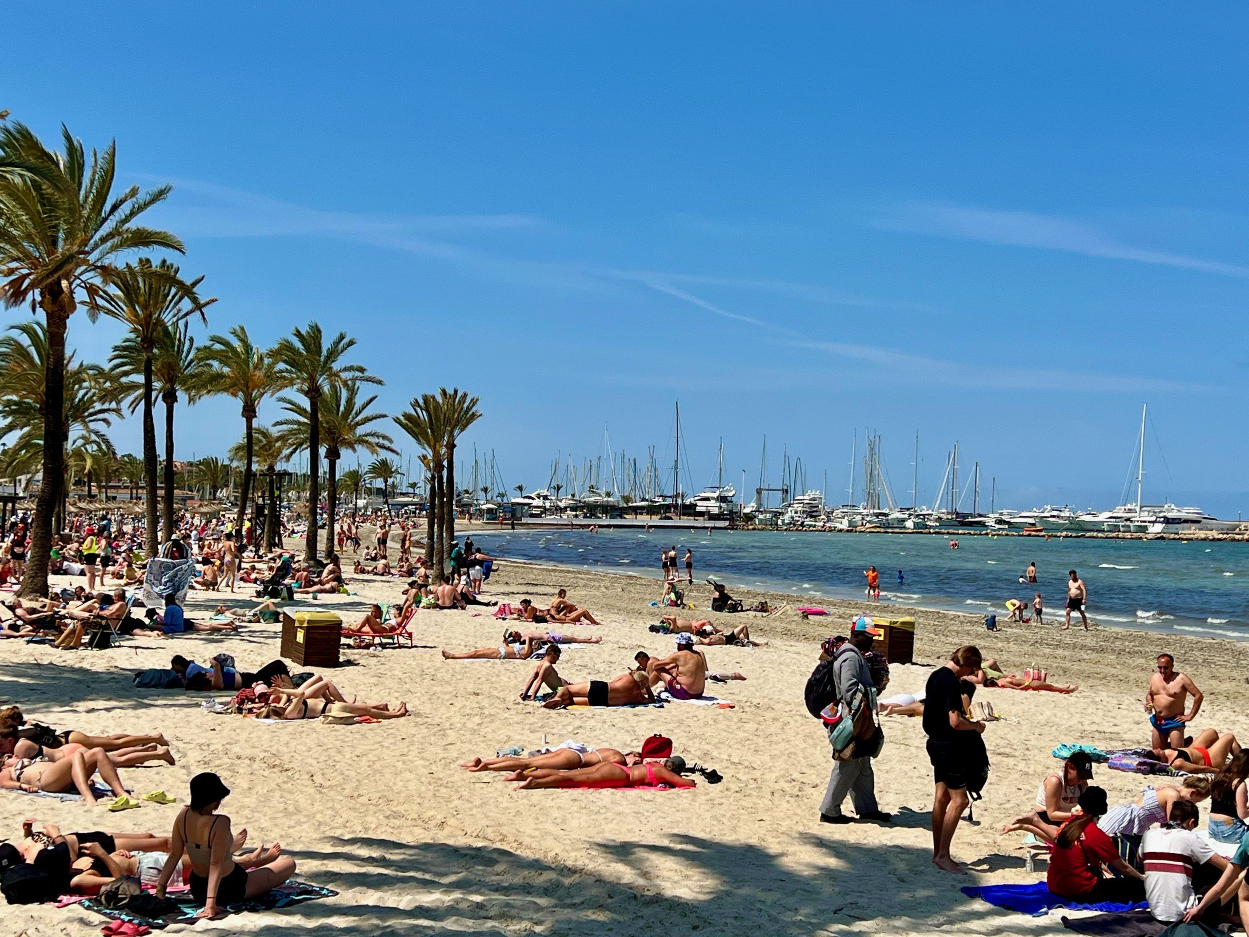 5 Minuten Mallorca | Nachrichten am 7. September 2023