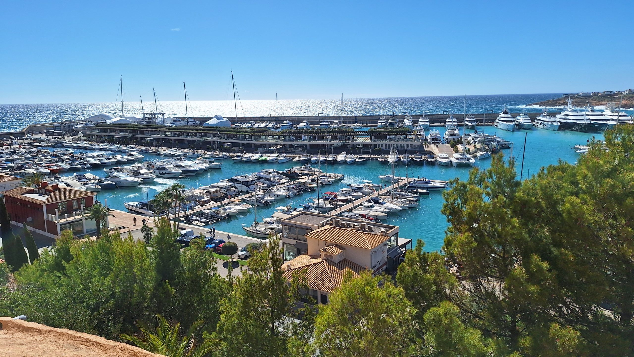 5 Minuten Mallorca | Nachrichten am 21. Januar 2025