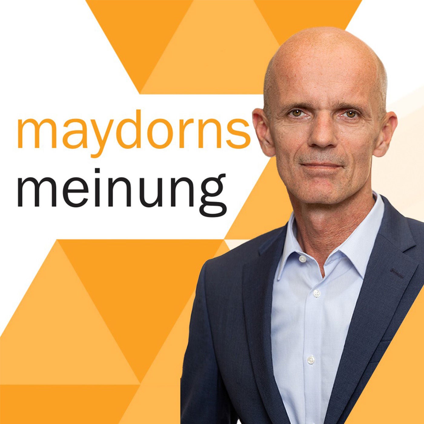Meta Platforms, PayPal, Alphabet, Microsoft, Apple, Amazon, Tesla, BYD, SolarEdge