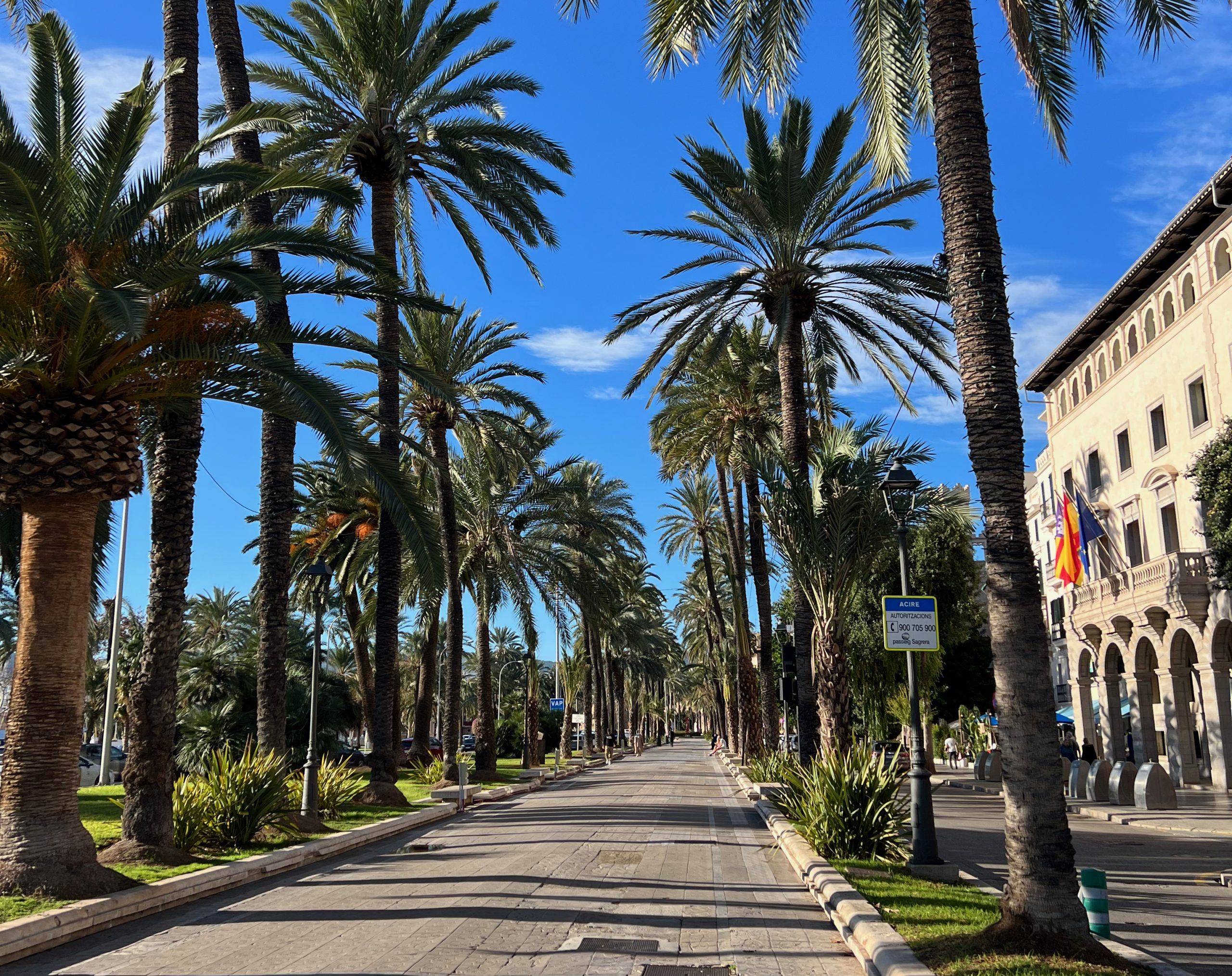 5 Minuten Mallorca | Nachrichten am 25. Oktober 2024
