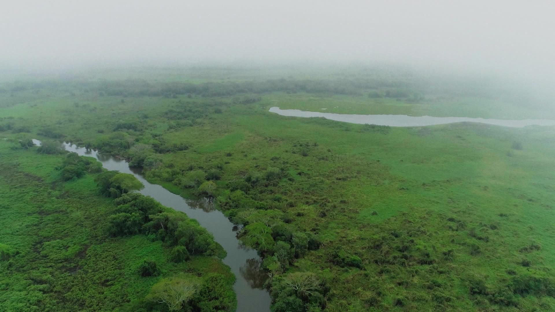 Das Pantanal