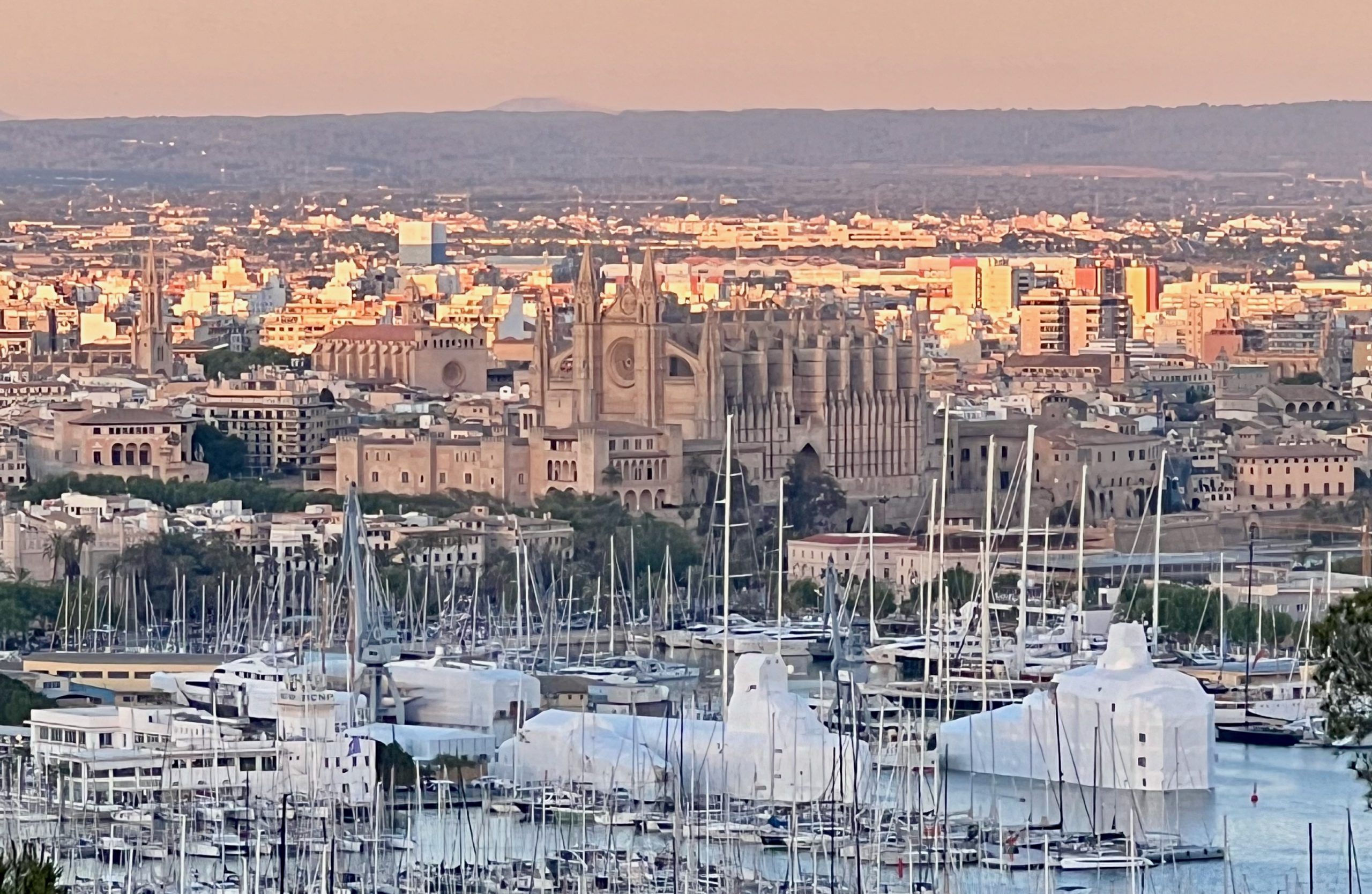 5 Minuten Mallorca | Nachrichten am 10. Juni 2024