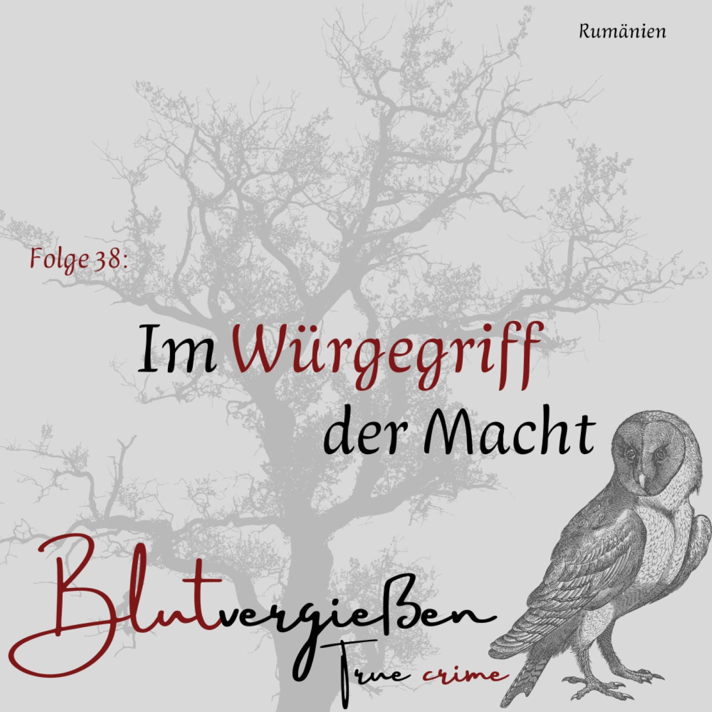 Nicolae C. - Im Würgegriff der Macht