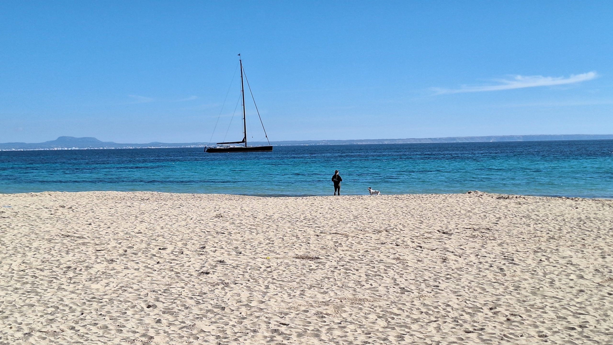 5 Minuten Mallorca | Nachrichten am 17. Februar 2025