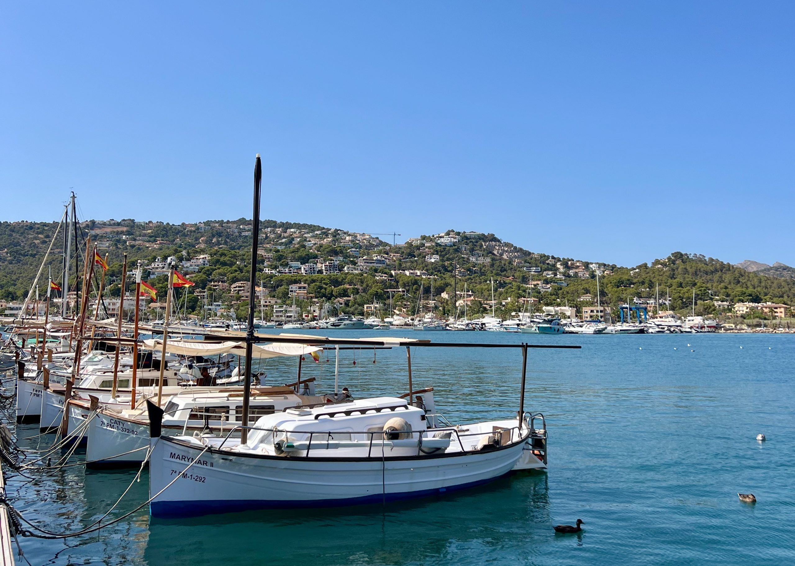 5 Minuten Mallorca | Nachrichten am 24. Mai 2025