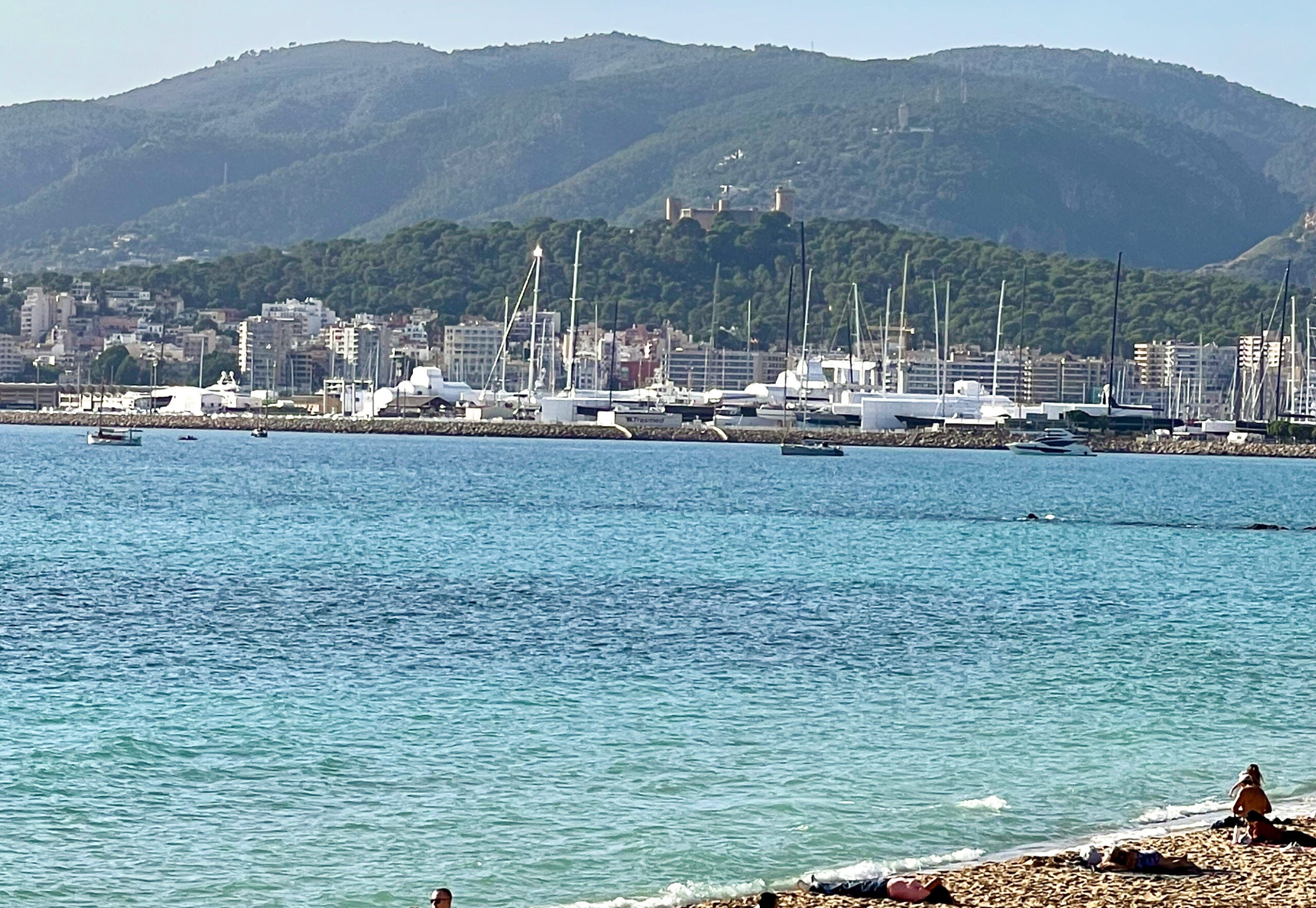 5 Minuten Mallorca | Nachrichten am 18. November 2024