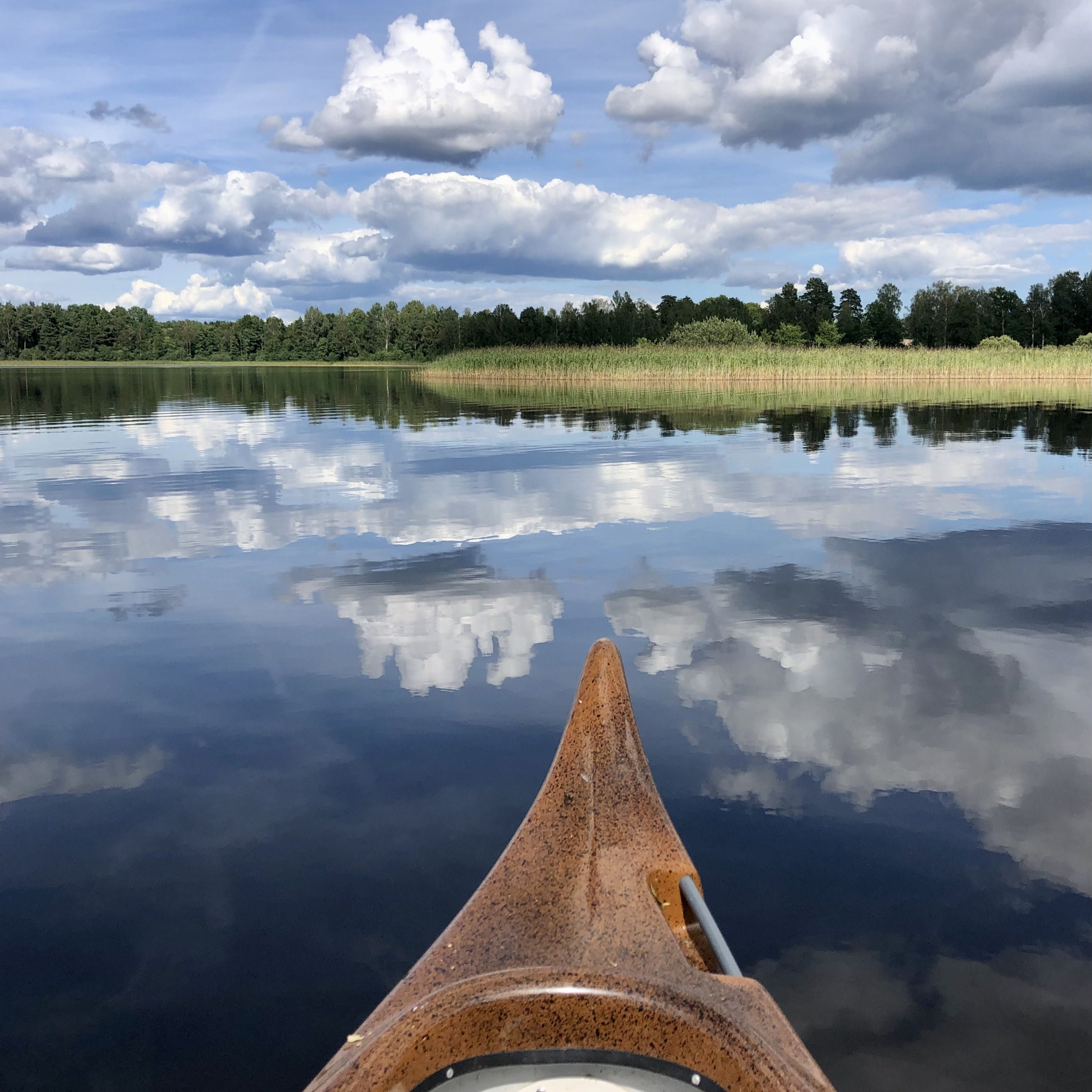 #13 Zwischen Himmel und Wasser - Eine Reise nach Fågelfors