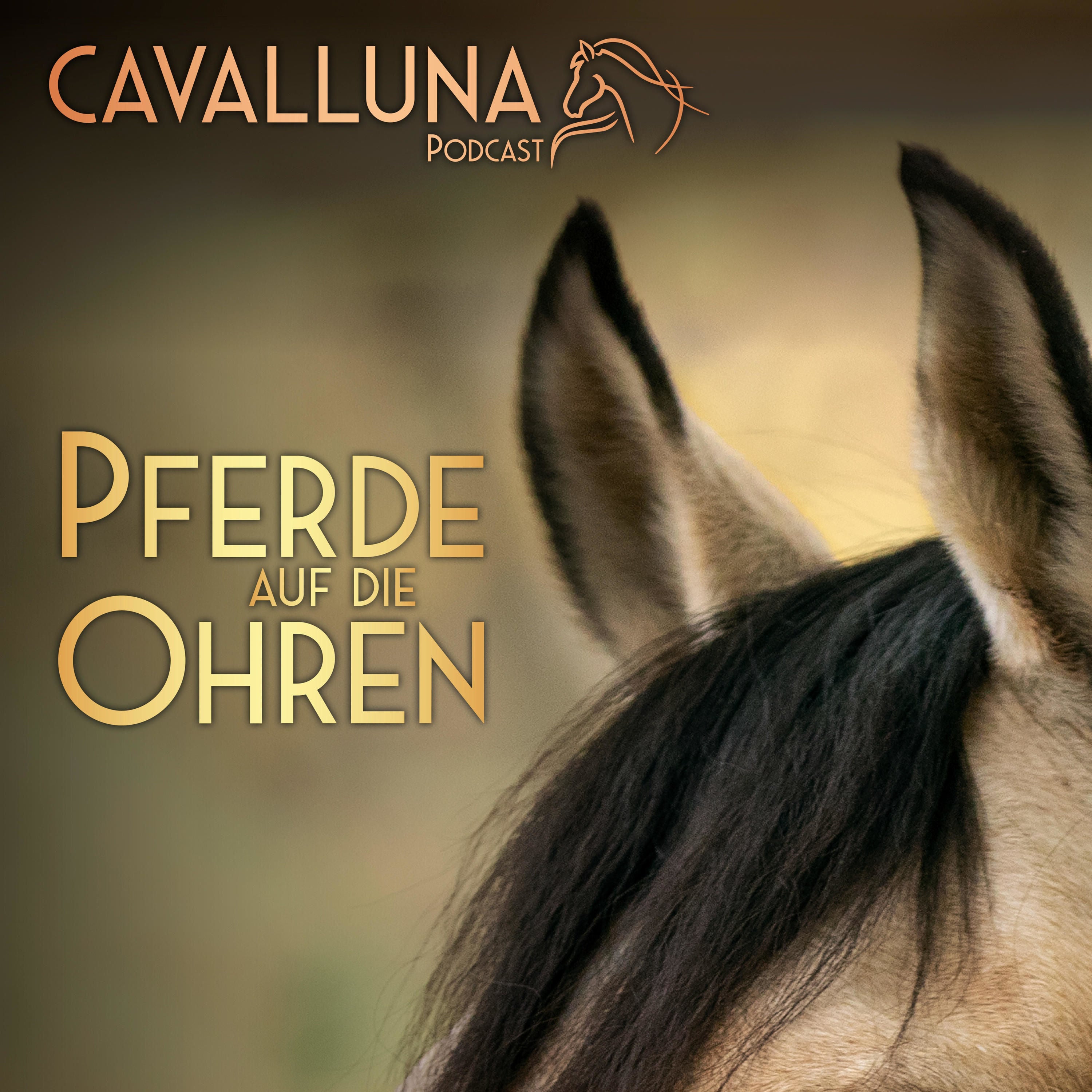 CAVALLUNA Podcast - Pferde auf die Ohren