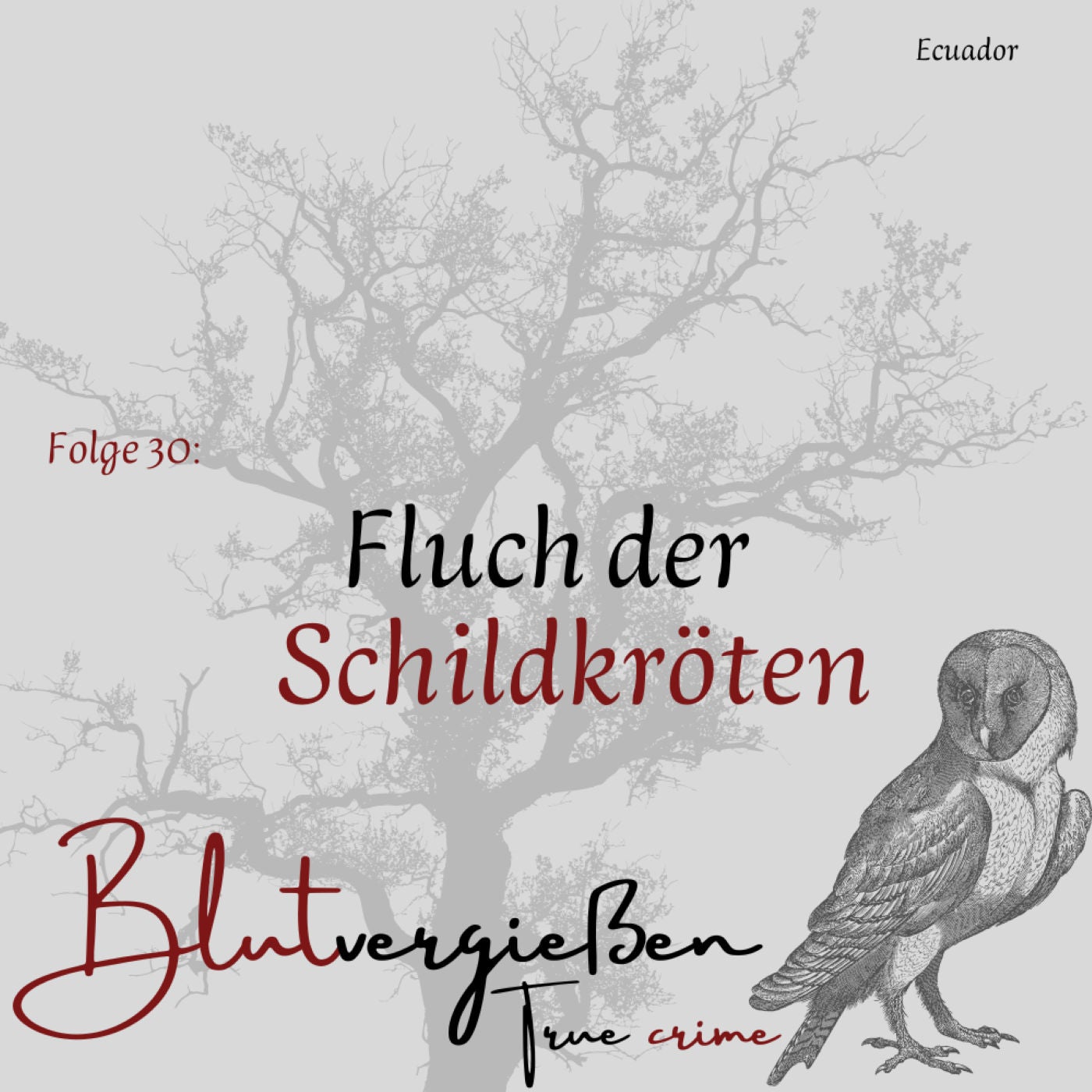 Friedrich Ritter - Fluch der Schildkröten
