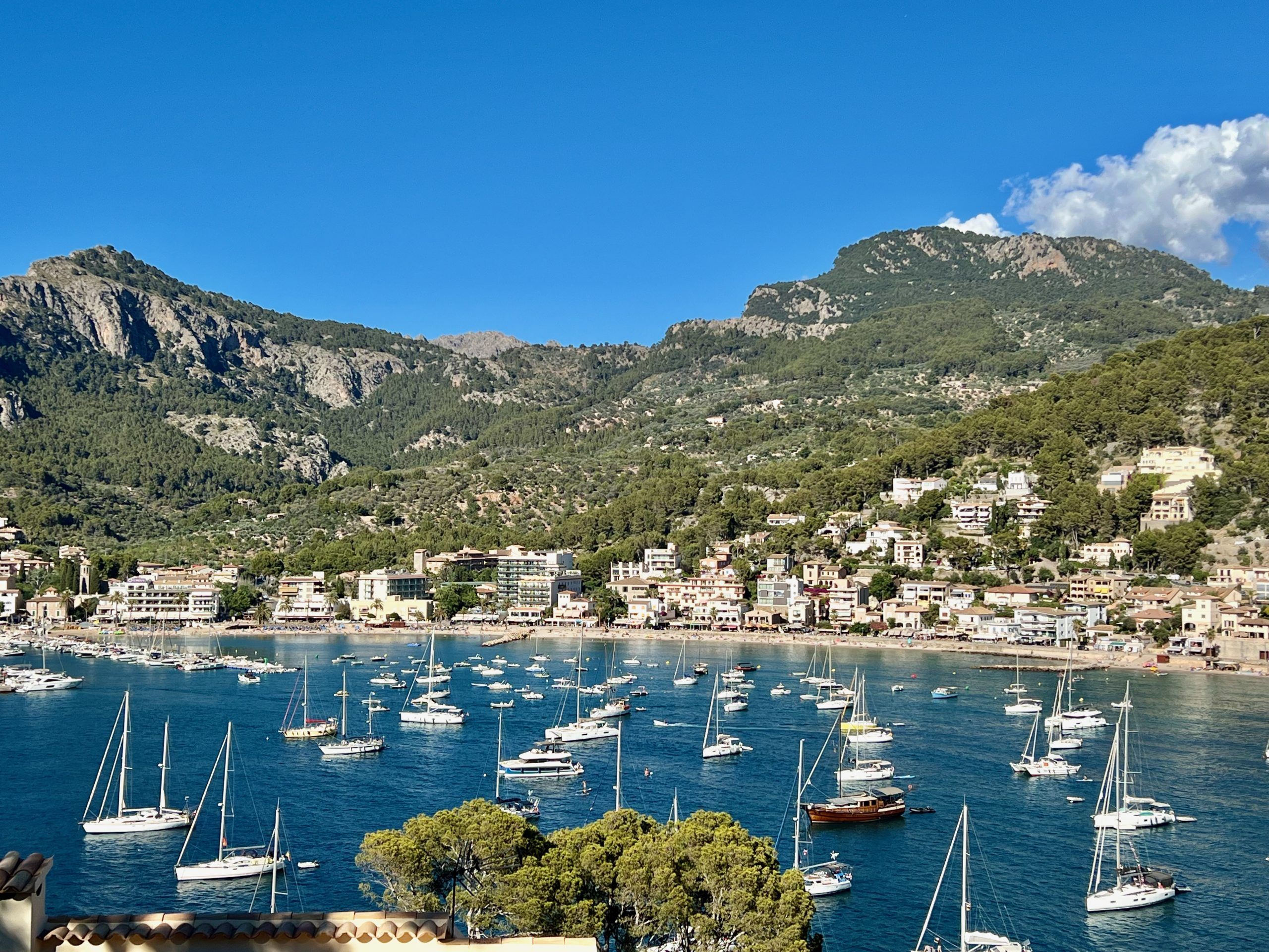 5 Minuten Mallorca | Nachrichten am 10. Januar 2026