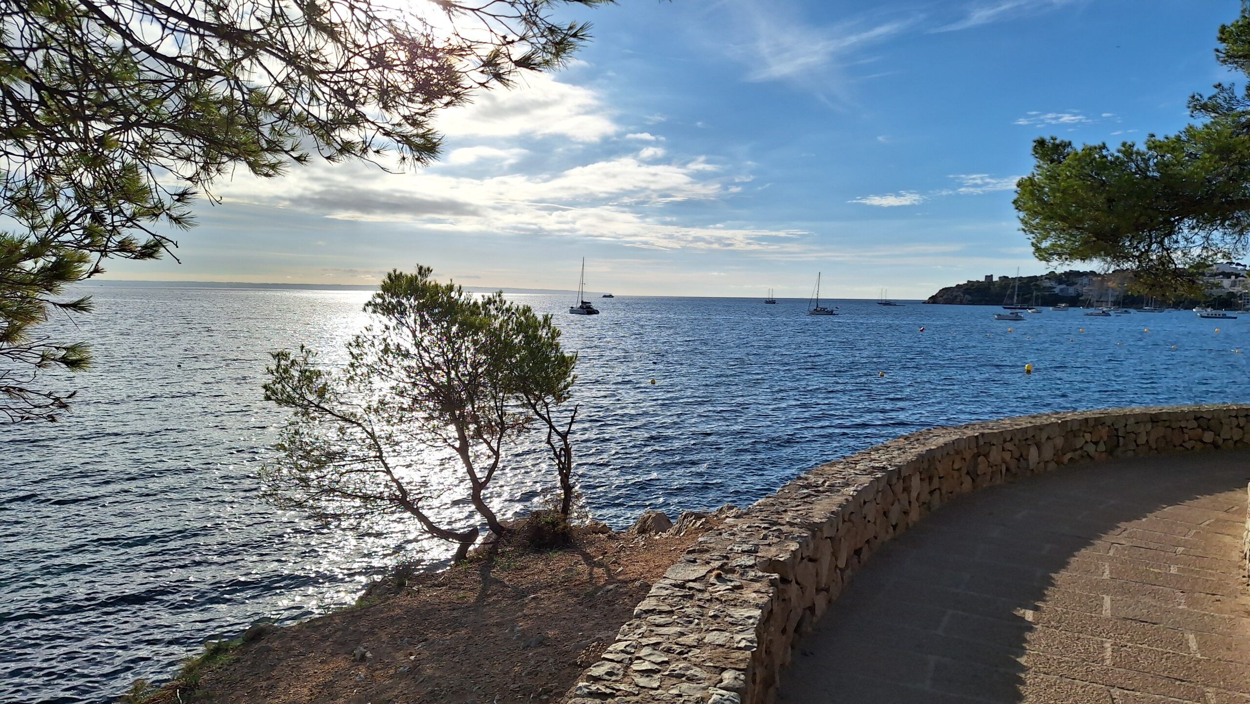 5 Minuten Mallorca | Nachrichten am 6. Januar 2026